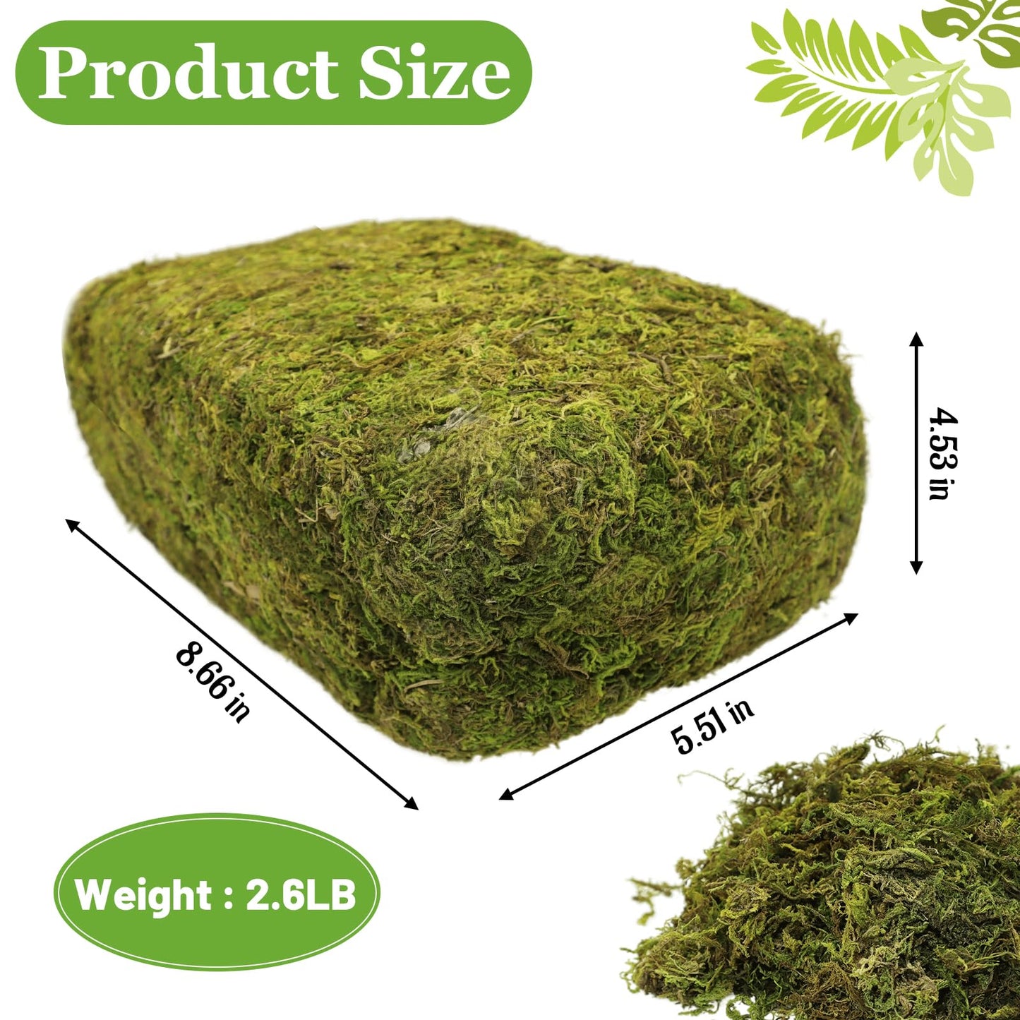 Riare 2.6LBS Artificial Fake Moss for Fake Plants Indoor- Premium Faux Craft Moss for Potted Plant, Fresh Forest Green for Hamsters Micro-Landscape Terrariums Centerpieces Decor