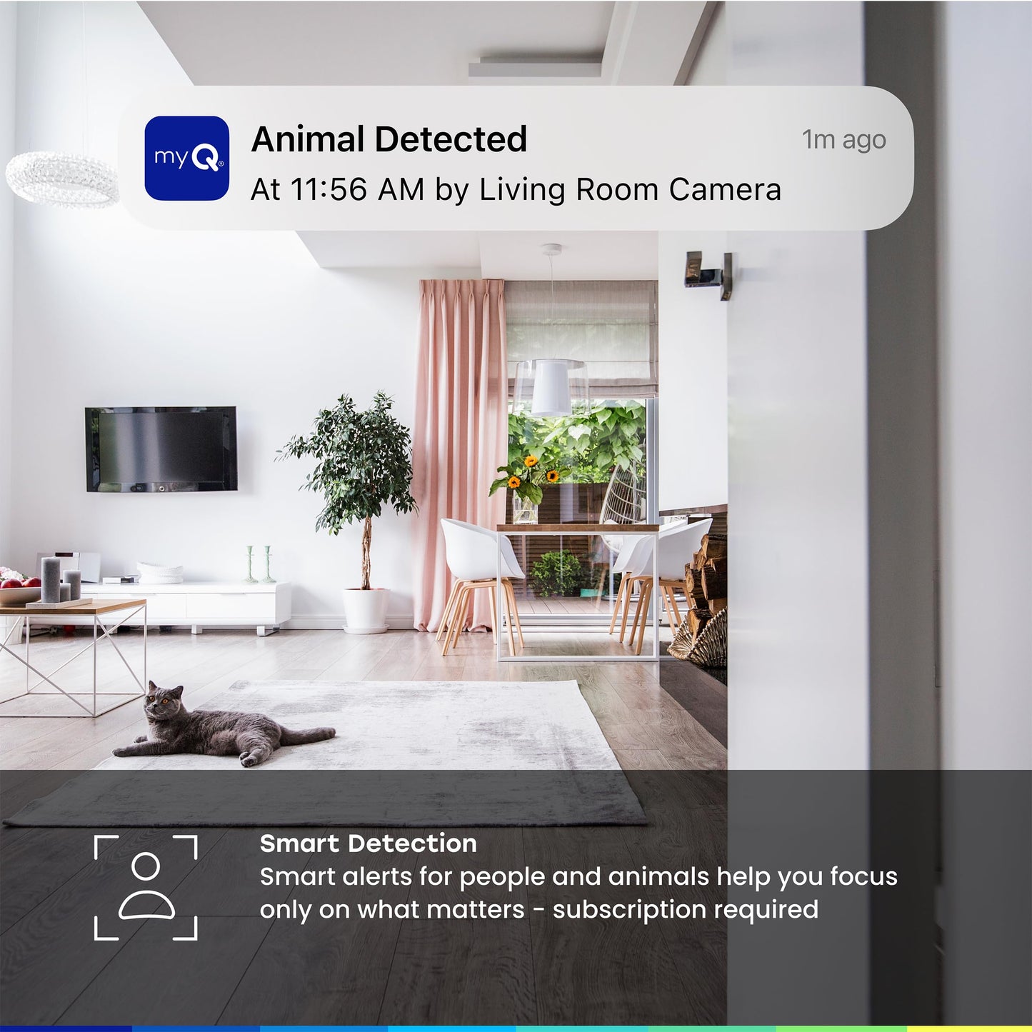 myQ Indoor Plug-in Security Camera Gen 2 – 2K Smart Wi-Fi Camera with Night Vision, Baby and Pet Monitor, Motion Detection and Alerts, 2-Way Audio & App Control