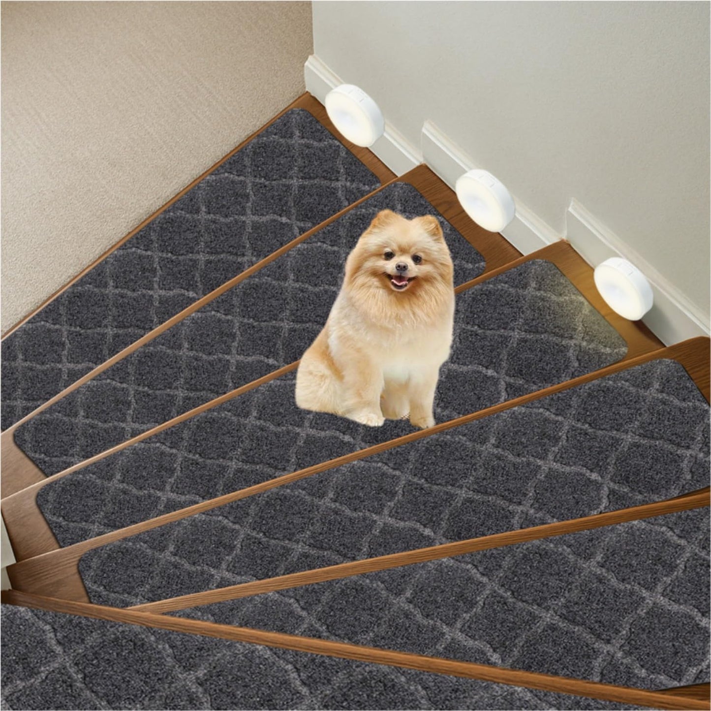 Stair Treads for Wooden Steps Indoor, Includes 15 Non-Slip Carpet Mat 8x30in with 5 Motion Sensor Lamps, Peel & Stick Carpet Stair Treads,Safety Stair Rugs for Kids, Elderly and Pets (Dark Gray)