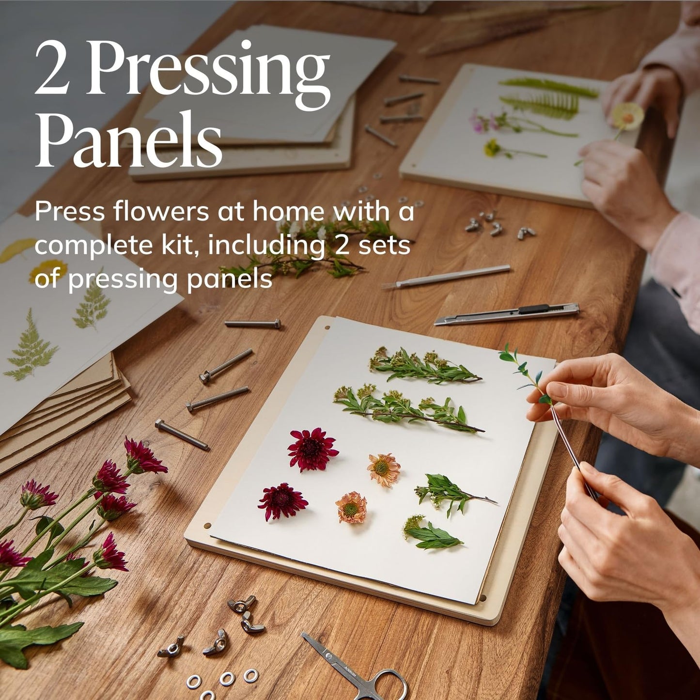 DIY Gift Kits Dried Flower Press Kit - Easy Dried Flower Crafting & Preservation - Adult Beginner Gift Set - 10x10 Inch Wooden Panels, Set of 2