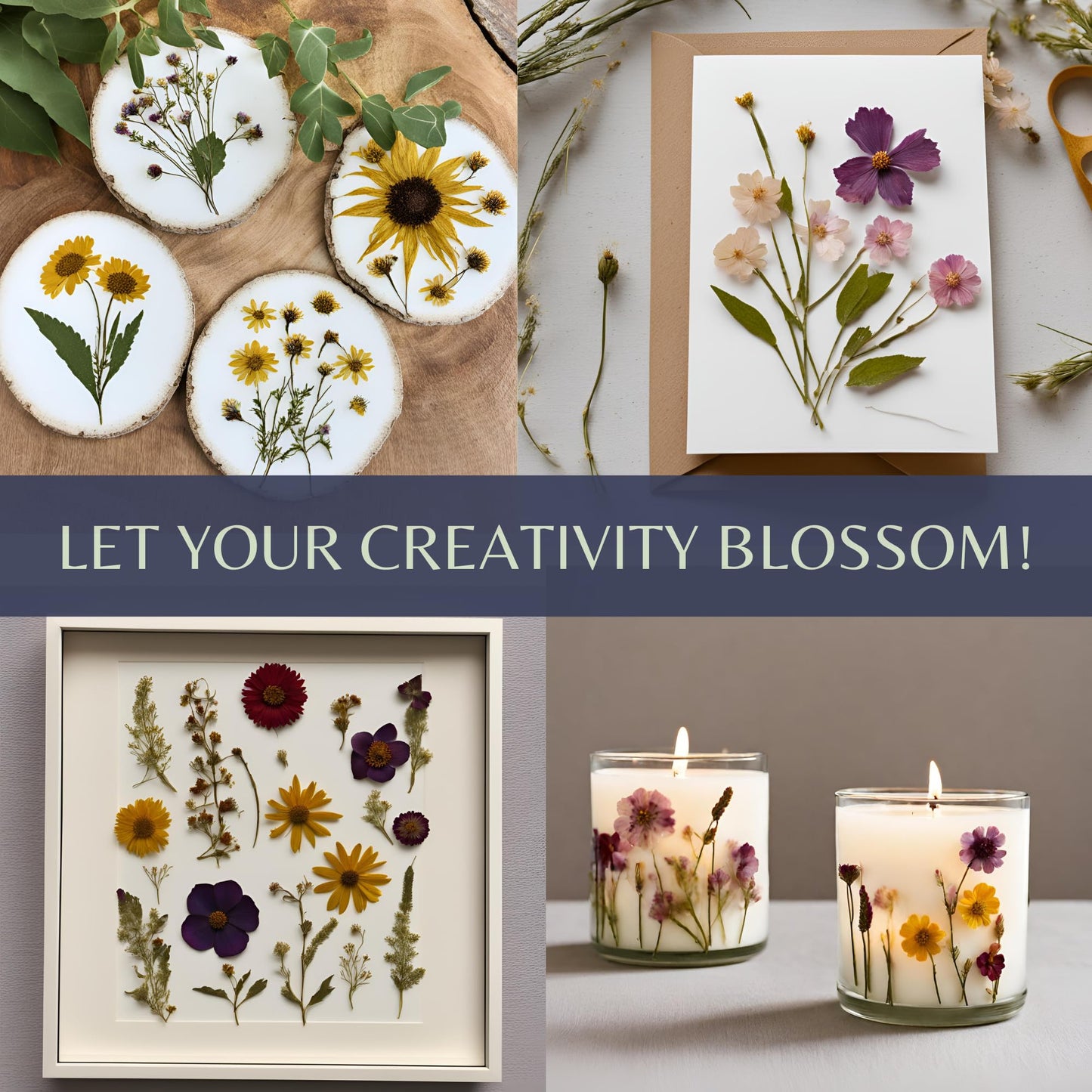 Rightly Wyld Hardwood Flower Press Kit | 8x10 in. Botanical Art Press | Up to 8 Layers | Adults & Kids | Giftable | Non-Foldable