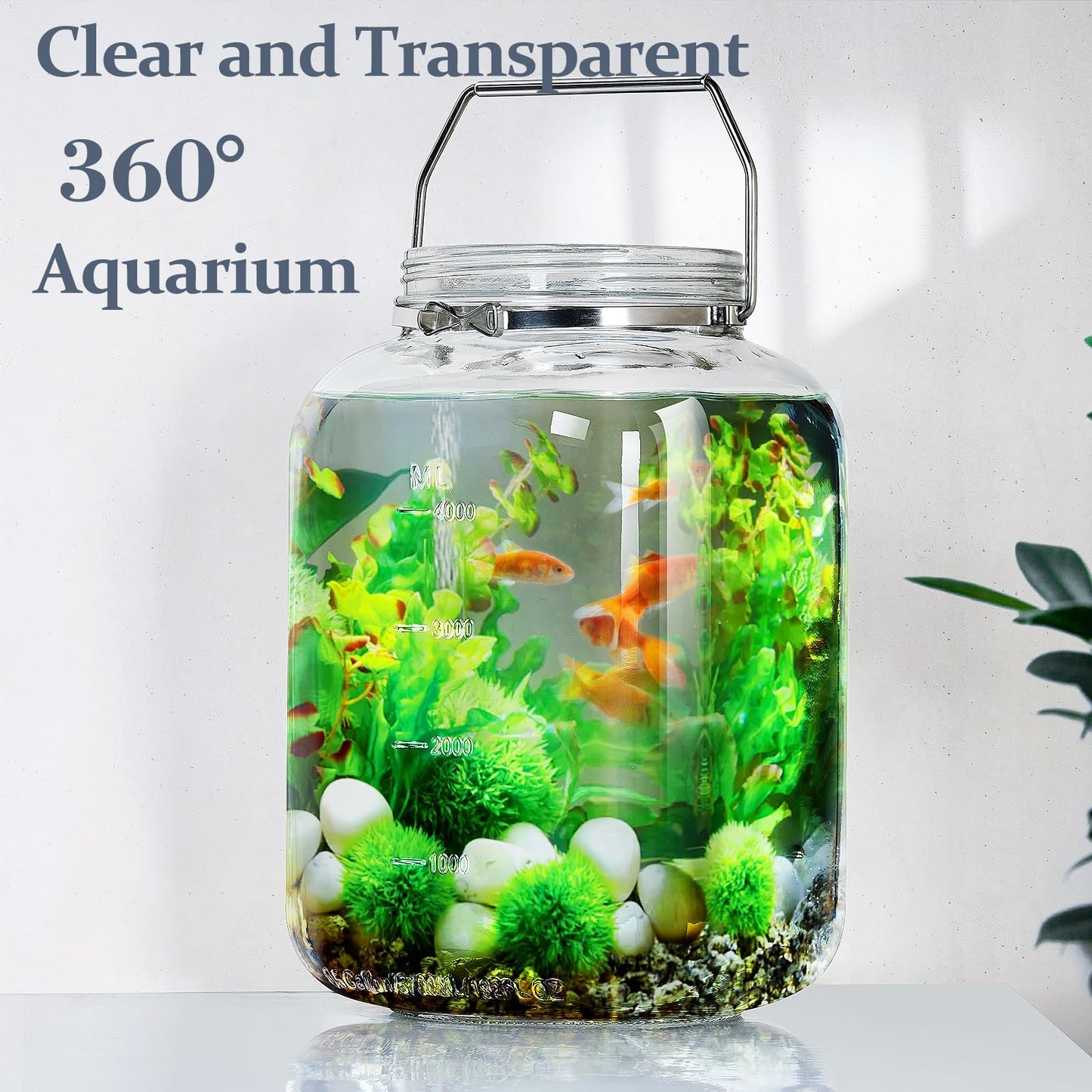 2 Pack 1.5 Gallon Glass Jar with Lid Wide Mouth, Large Mason Jar with Airtight Screw Lid and Handle, Clear Glass Storage Containers with 2 Scale Mark for Flour, Cookie, Candy, Kombucha and Fermention