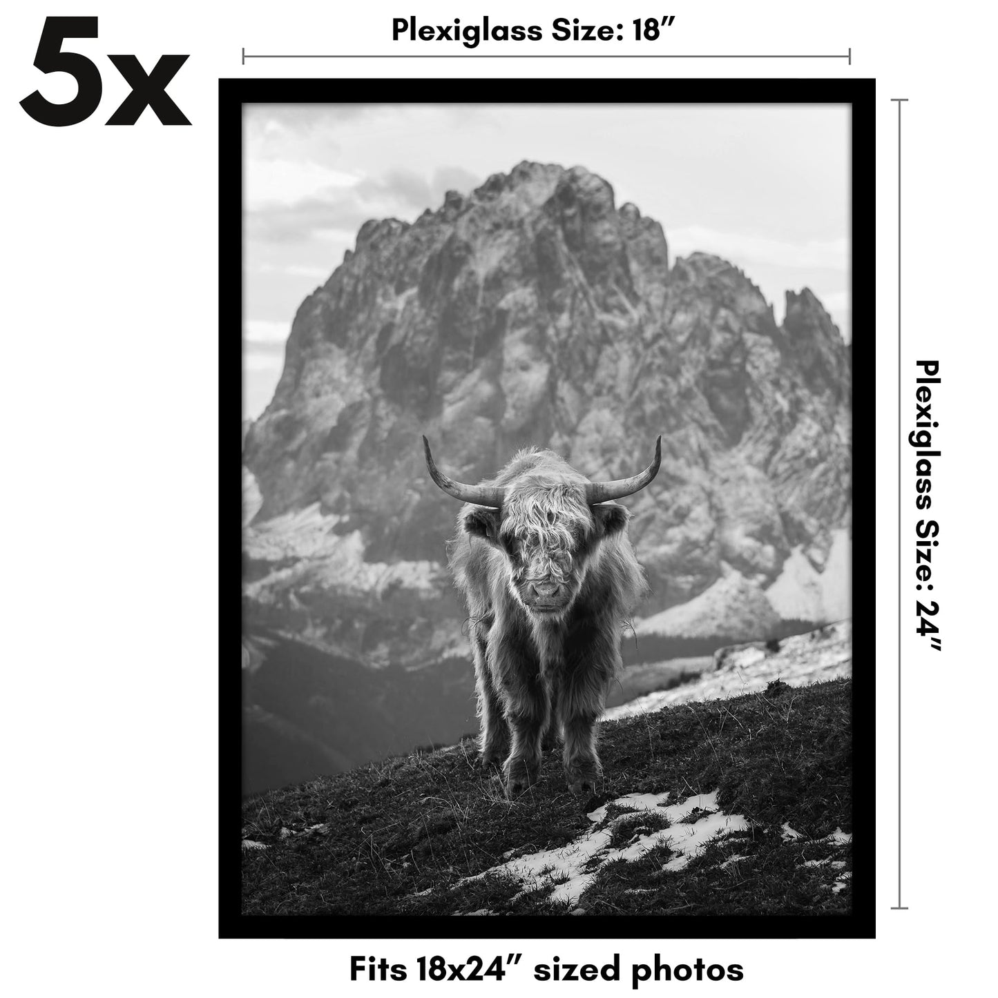 Americanflat 18x24 Poster Frame with Polished Plexiglass - Set of 5 - Galleria Collection - Picture Frames for Wall Display - Black