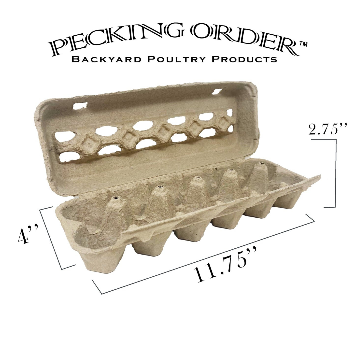 Paper Pulp Egg Cartons - 50 Pack