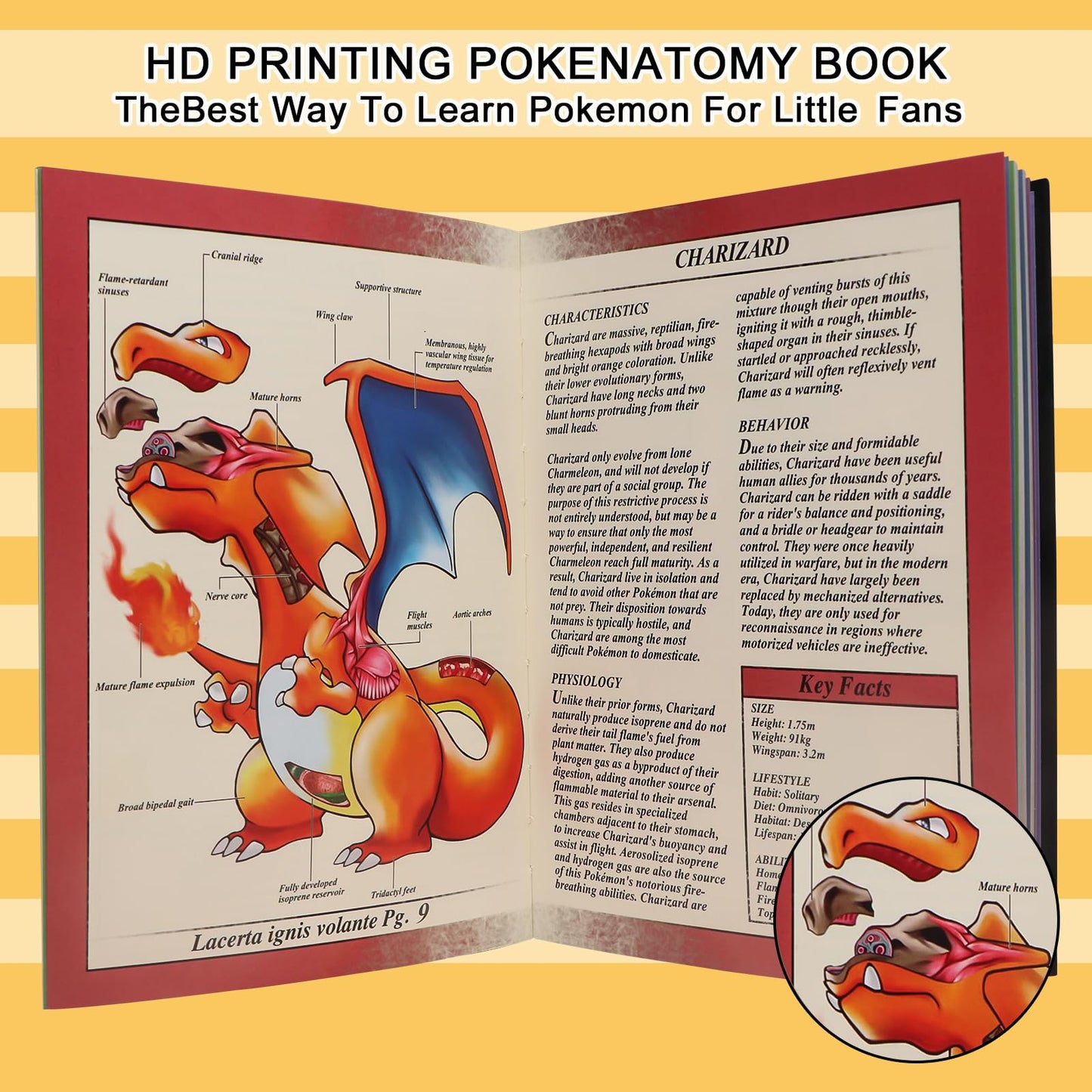 Pokenatomy Guide Book Desk Calendars - The Ultimate Pokenatomy Biology Study Companion, HD Printing, 200 Pages Covering 100 Classic Characters, Educational Birthday Gifts for Fans Kids Adults