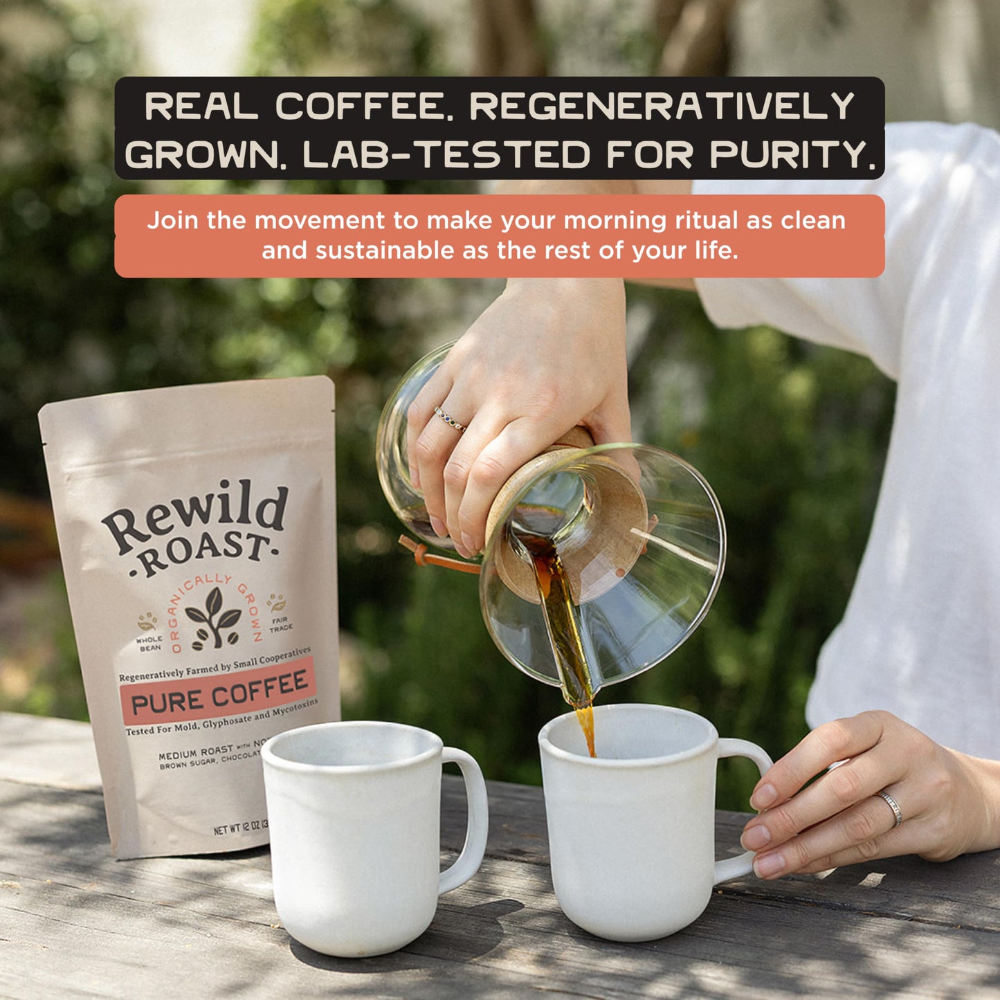 Lineage Provisions Rewild Roast Coffee - Organic Whole Coffee Beans - Arabica Medium Roast - Brown Sugar, Dark Chocolate, Toasted Walnut, Citrus - 1-Pack, 12 oz