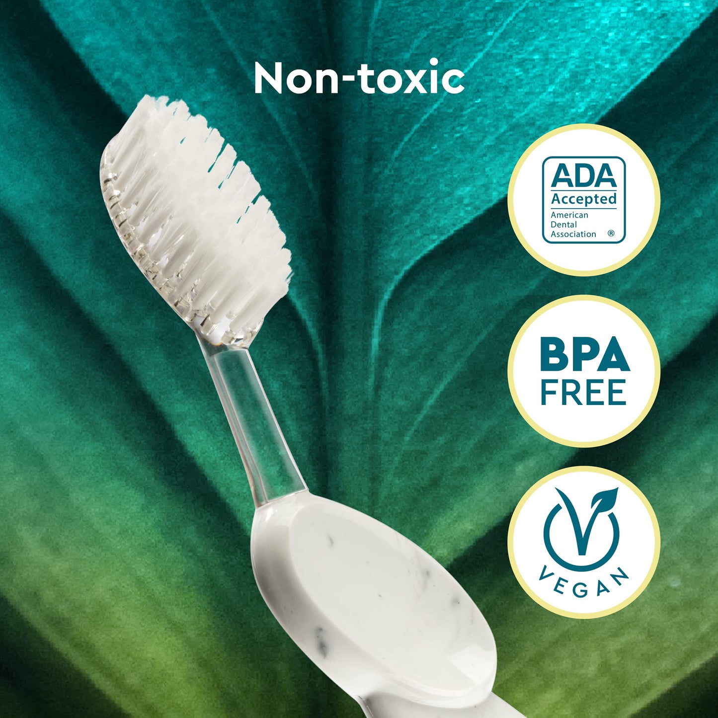 RADIUS Big Brush BPA Free & ADA Accepted Toothbrush Designed to Improve Gum Health & Reduce Gum Issues - Right Hand - Assorted - Pack of 6