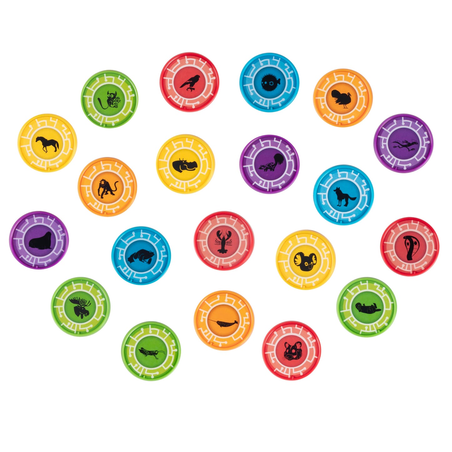 Wild Kratts Toys Creature Power Disc Holder Set with 20 Discs - Chris Kratt