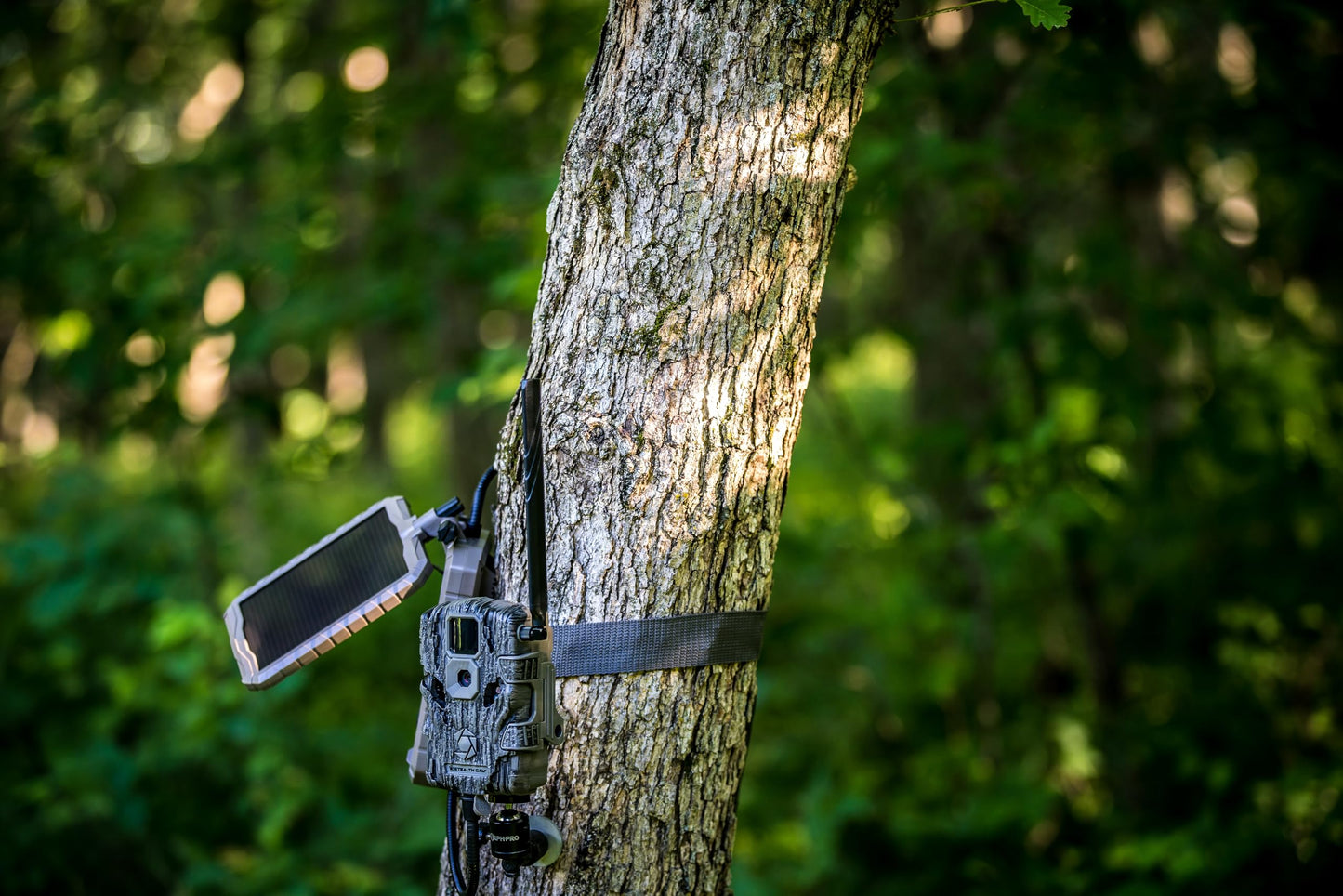 Stealth CAM Durable Sol-Pak Solar Battery Pack, 12V Solar Power Panel, Rechargeable Battery & 10ft Insulated Cable, Compatible with All Wireless/Cellular Trail Cameras - 3000 mAh