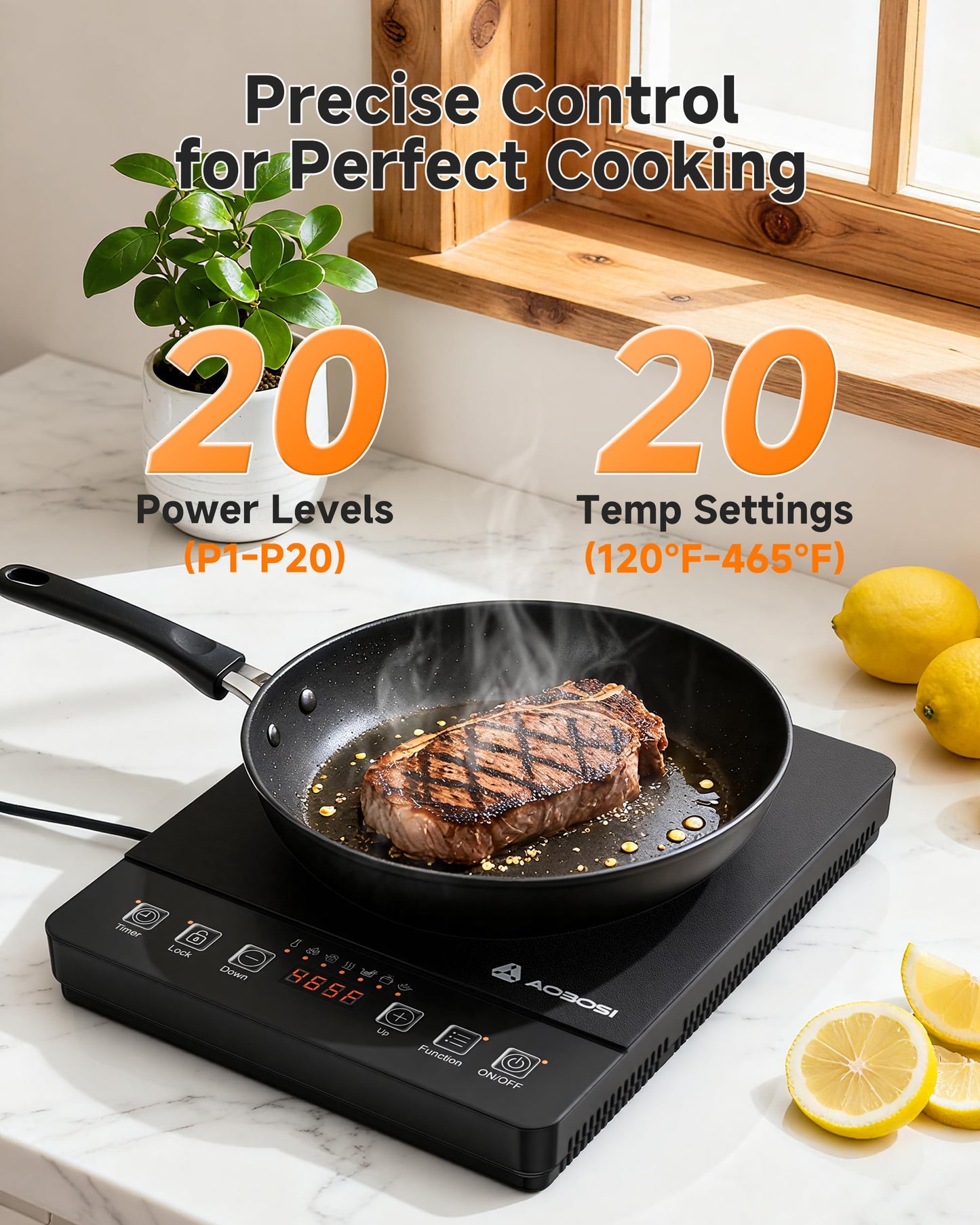 Portable Induction Cooktop 20 Temperature & Power Levels,1800W Single Burner Electric Cooktop with 6.8 inch Heating Coil,Low Noise Hot Plate with Timer