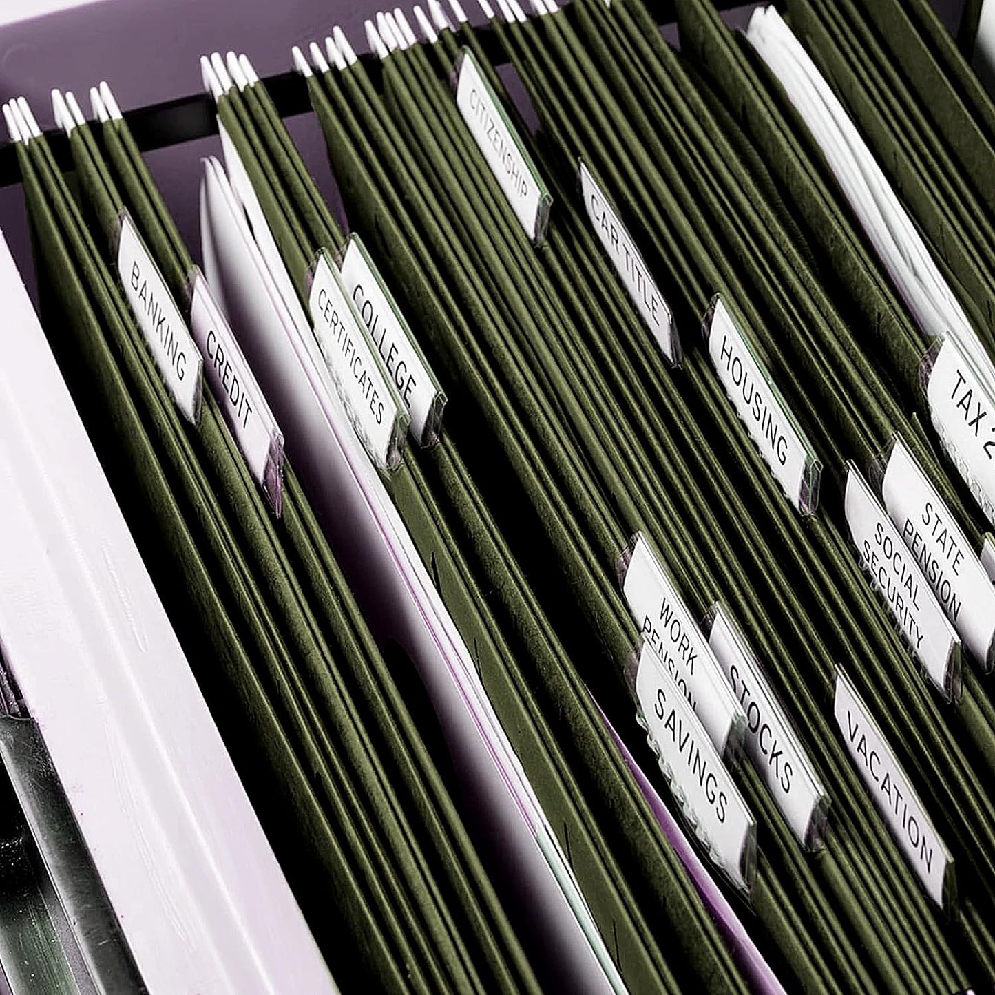Hanging File Folders, RAZCC 60 Pack Reinforced Hanging Folders Legal Size, Designed for Bulky Files, Filing Cabinet, Adjustable Tabs, Green
