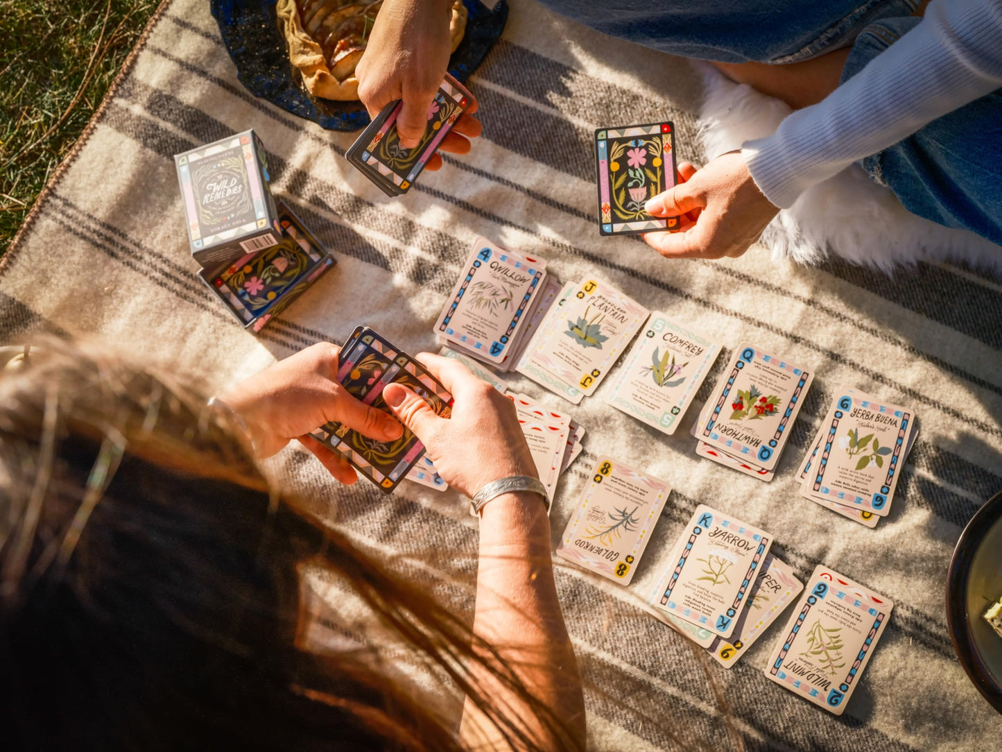 Wild Card Series Trilogy Set | 3 Botanical Playing Card Decks — Wild Remedies, Forest Feast & Woodland Treasures | Learn Nature as You Play | Hand-Illustrated | Includes 20 Classic Games Booklet