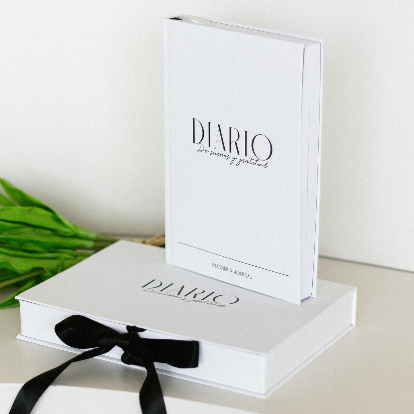 Daily Gratitude Journal & Dreams Planner (Spanish Edition) | Undated 2-in-1 | For Mindfulness, Purpose & Success | Includes Mirror for Affirmations & Luxury Gift Box – Stay present while achieving your dreams - Diario de Sueños y Gratitud