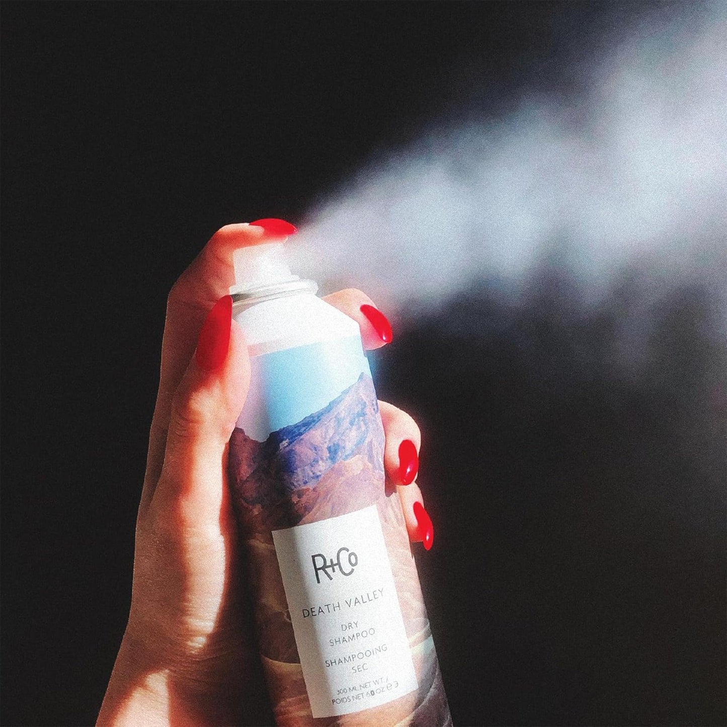 R+Co Death Valley Dry Shampoo For Women