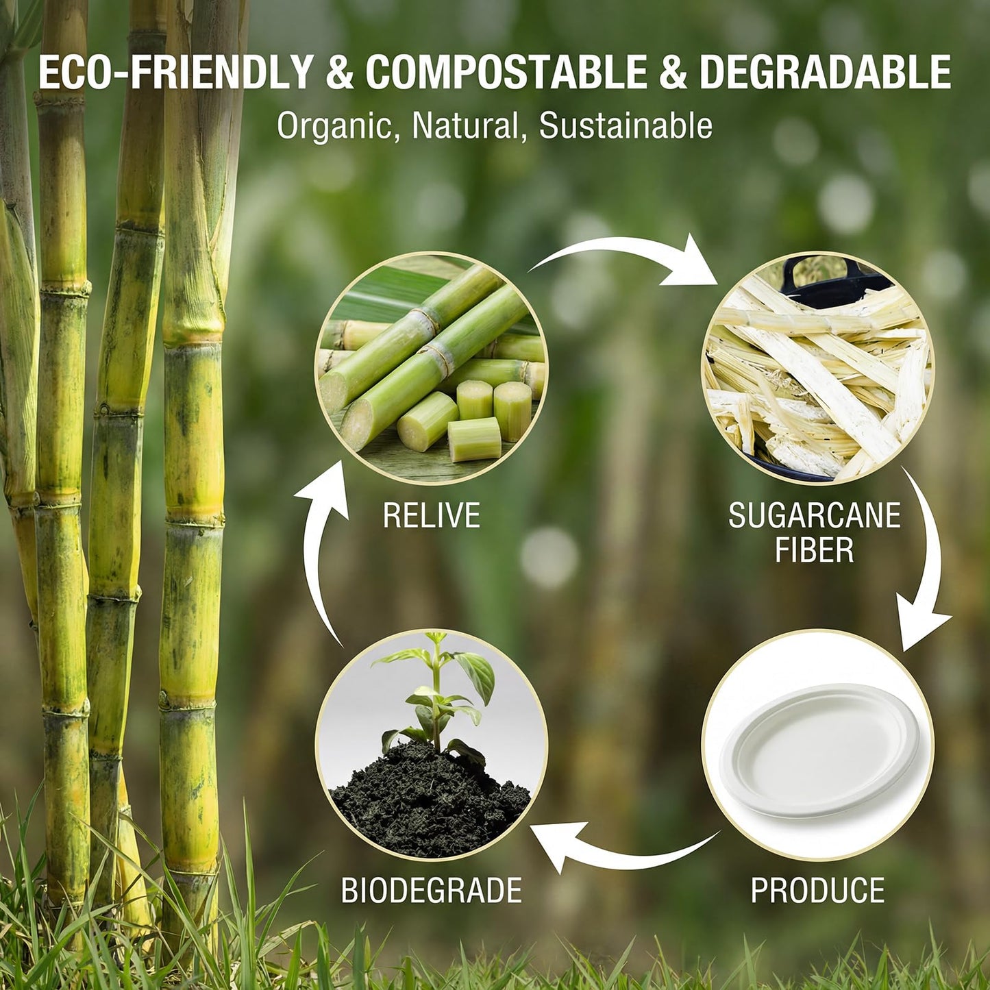 Tinybee Compostable Plates Heavy Duty 12 Inch - 125 Pack Paper Plates Eco-Friendly Large Paper Plates Microwave-Safe, Soak-Proof, Cut Resistant, Disposable Plates for Dinner BBQ Picnic Party, White