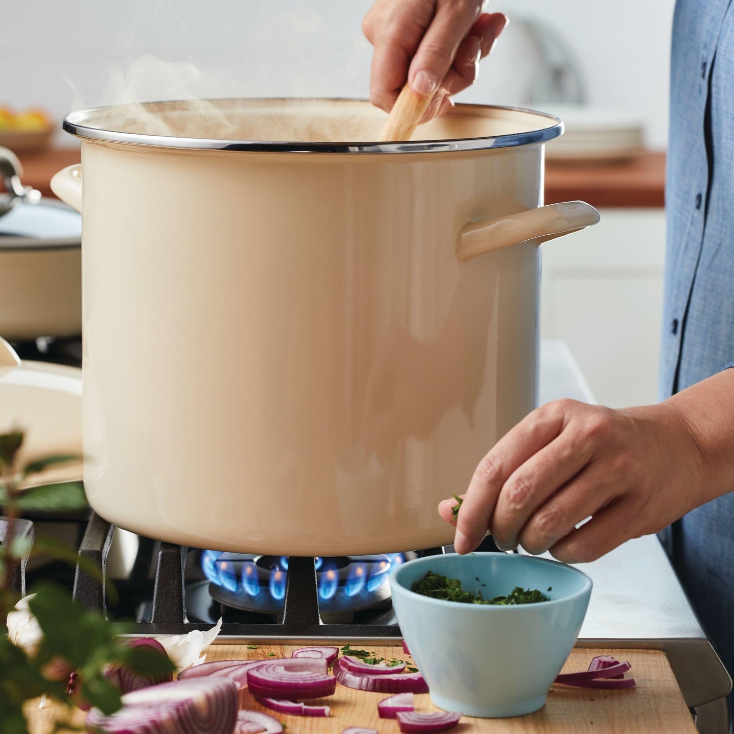 Rachael Ray Enamel-on-Steel Induction Stockpot with Lid, 12-Quart, Almond