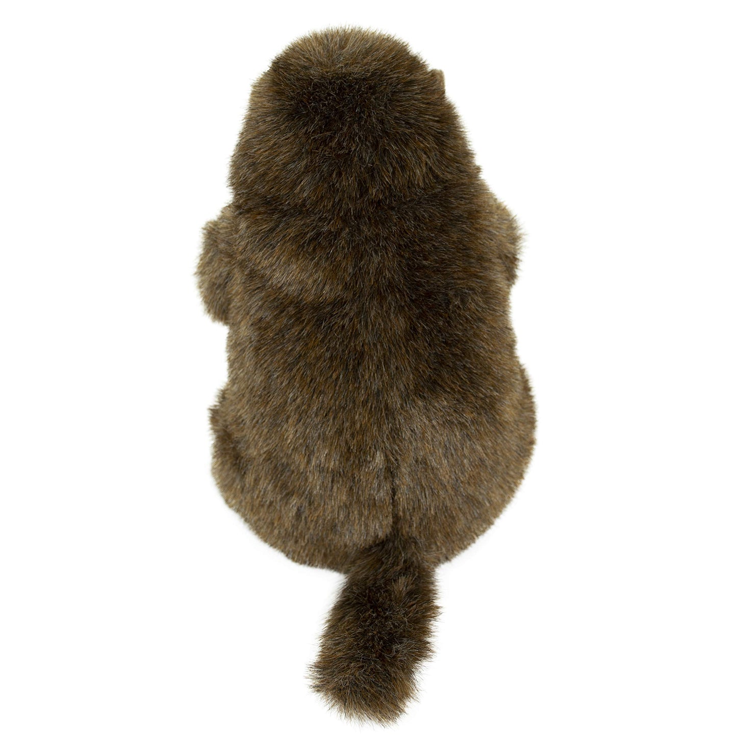 Douglas Chuckwood Groundhog Plush Stuffed Animal