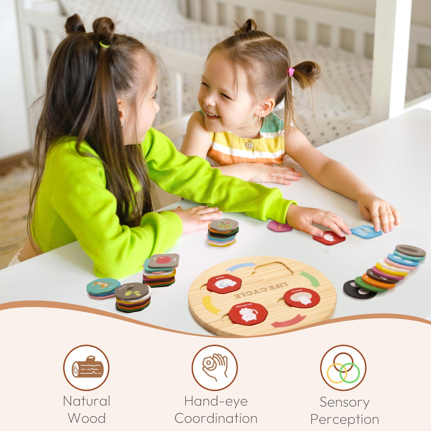 Woodtoe Life Cycle Toys for Kids, 12 Themes Montessori Preschool Science Center Materials, Wooden STEM Educational Toys for Toddlers, Learning Game Travel Gift for Boys Girls Age 3-6