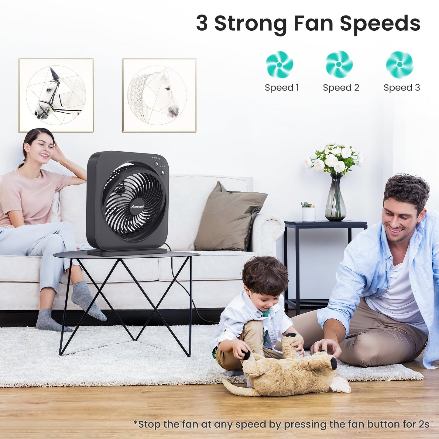 AMACOOL Table Fan, 12 inch Box Fan with 3 Adjustable Speeds & 8HRS Timer, 270° Pivoting Quiet Air Circulator, Desktop Fan for Bedroom Bathroom Kitchen Office, AC Adapter Included-Black