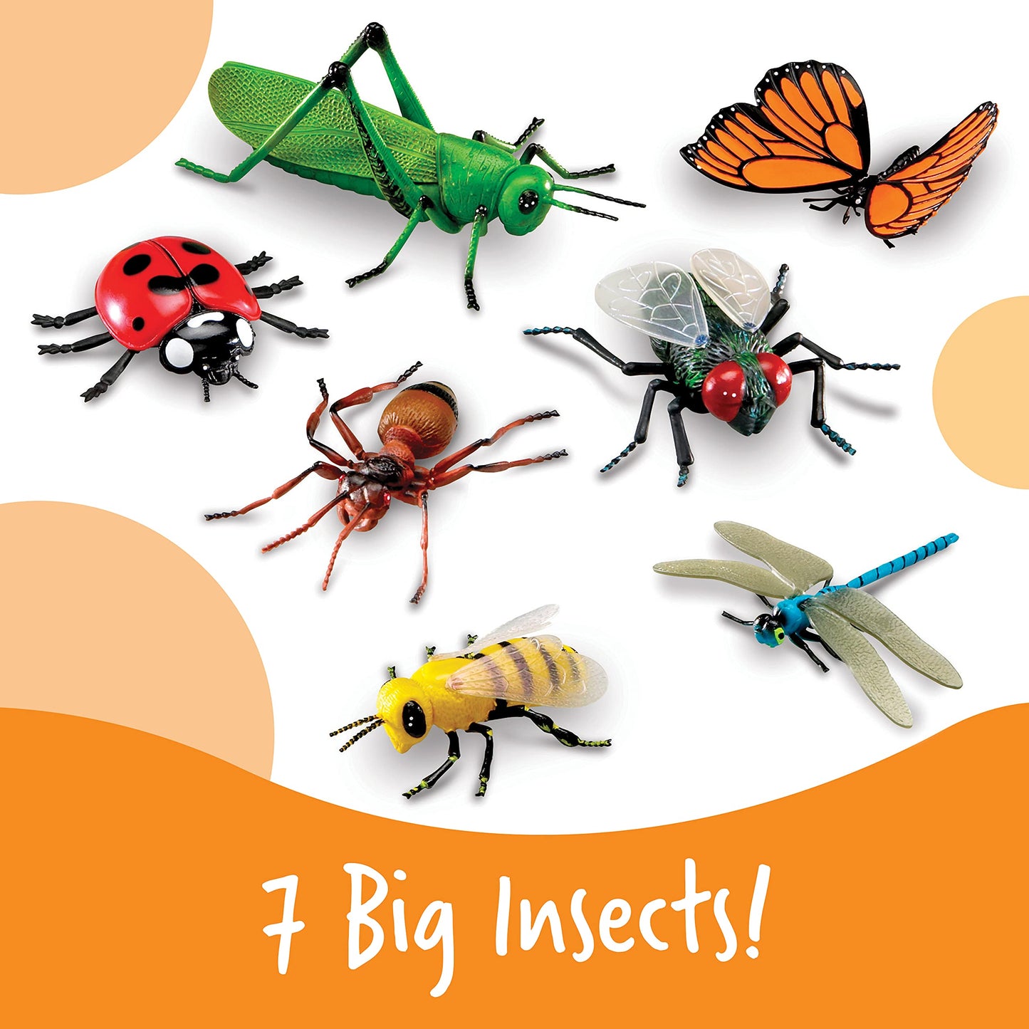 Learning Resources LER0789 Jumbo Insects