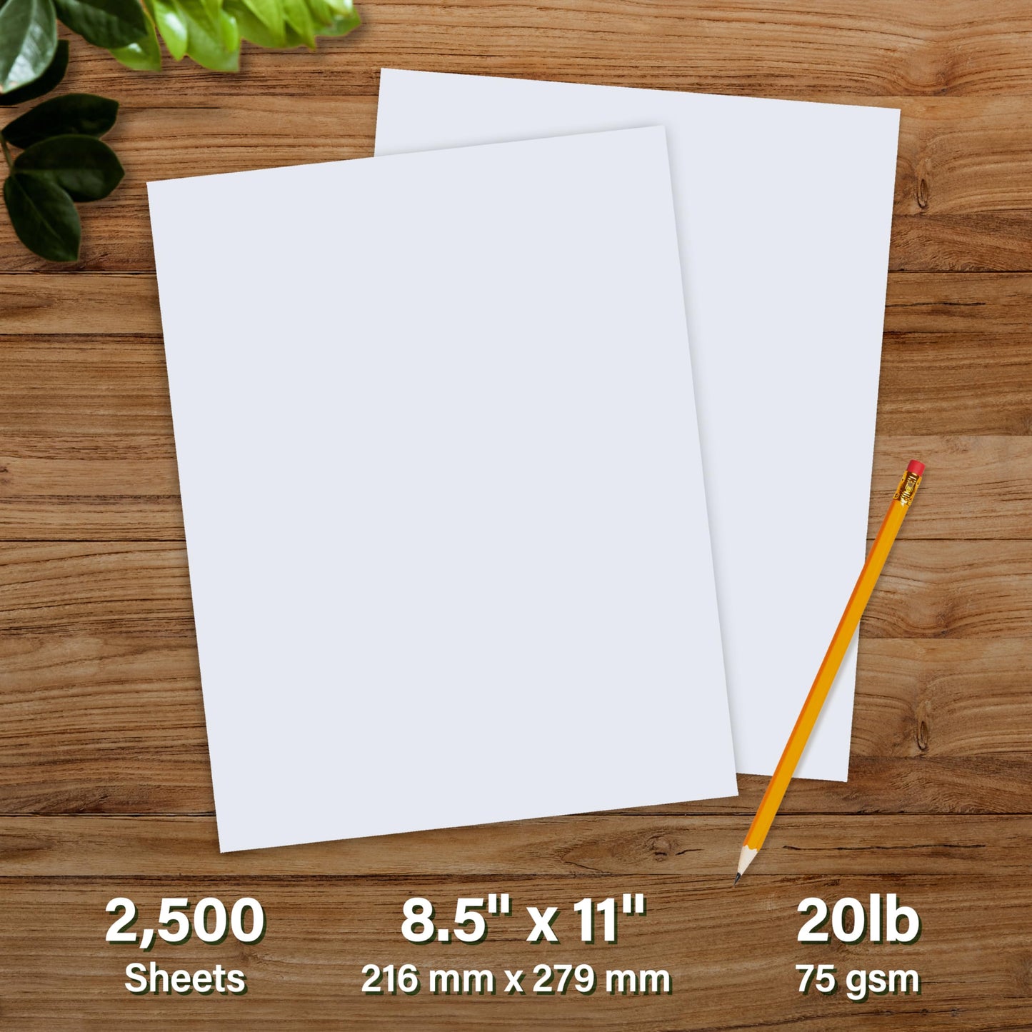 Elementree Paper Case 8.5" x 11" – Sustainable Made from Sawmill Waste – 20 lb Copy & Multipurpose Computer Paper – 2500 Sheets – Made in the USA - Printer & Copier Compatible (00021)