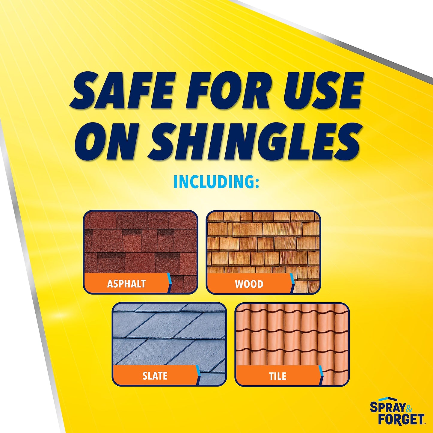 Spray & Forget 1-Gallon Concentrated Roof Cleaner