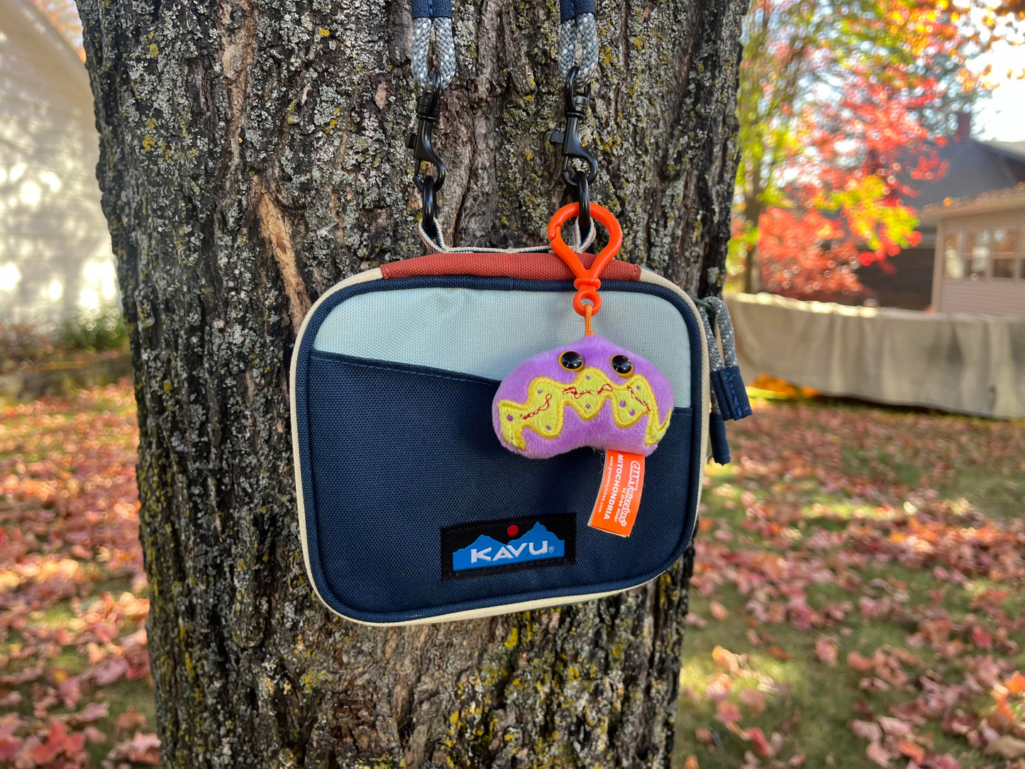 GIANTmicrobes Genetics Gift Box, DNA Gifts, Genetic Counselor & Genealogist Gifts, DNA Plush Keychain, Ancestry Gift