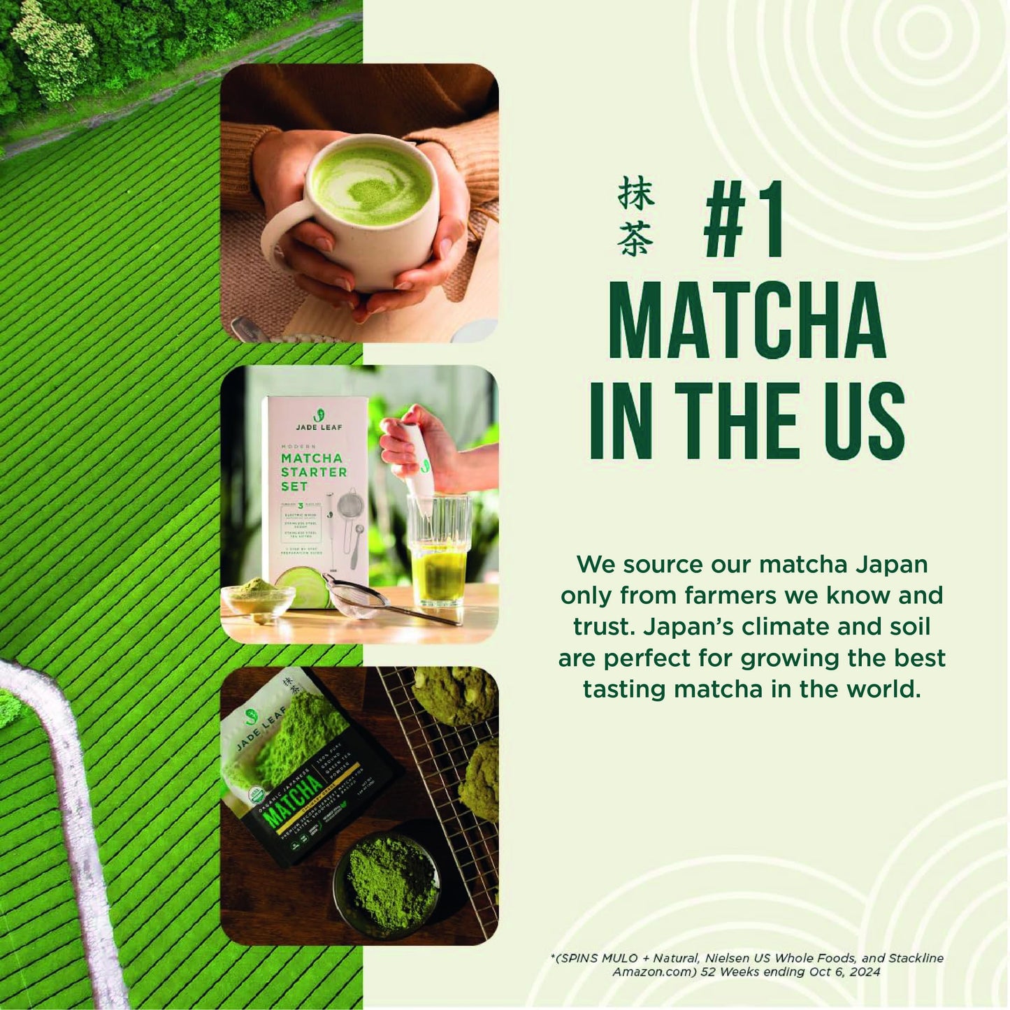 Jade Leaf Matcha Complete Matcha Ceremony Set - Includes: Bamboo Matcha Whisk & Scoop, Stainless Steel Sifter, Stoneware Bowl & Whisk Holder, and Prep Guide