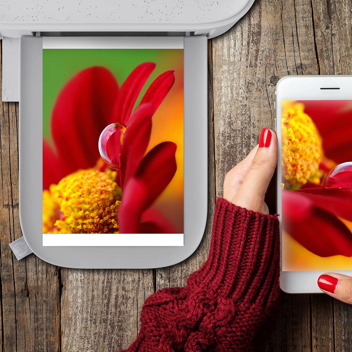 HP Sprocket Studio Plus 4 x 6” Photo Paper and Cartridges (Includes 108 Sheets and 2 Cartridges) – Compatible only with HP Sprocket Studio Plus printer