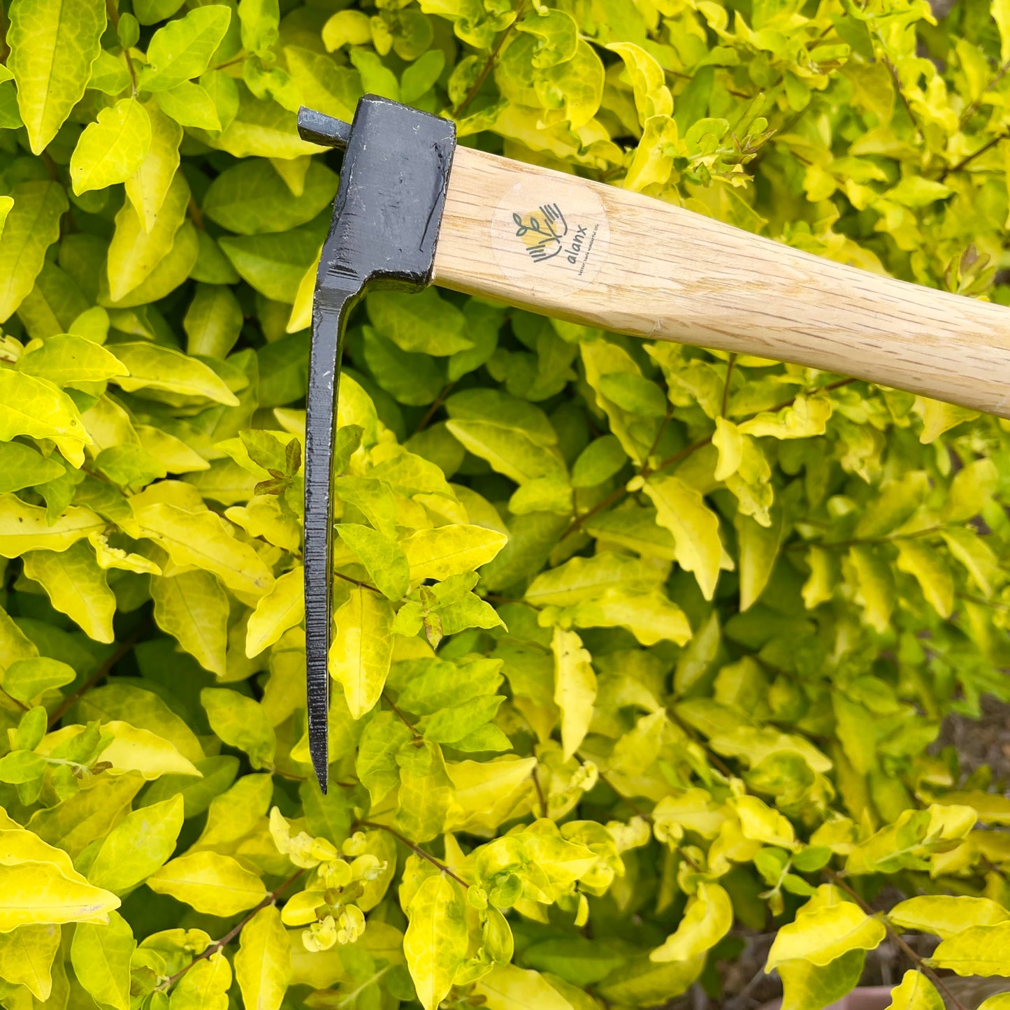 14 inch Japanese Hand Tiller/Rake for Garden, 3-tines Cultivator, Without Welding, Oak Handle, for Digging, Soil Preparation, Chopping Through Roots and Hard Soil and Other Gardening tasks