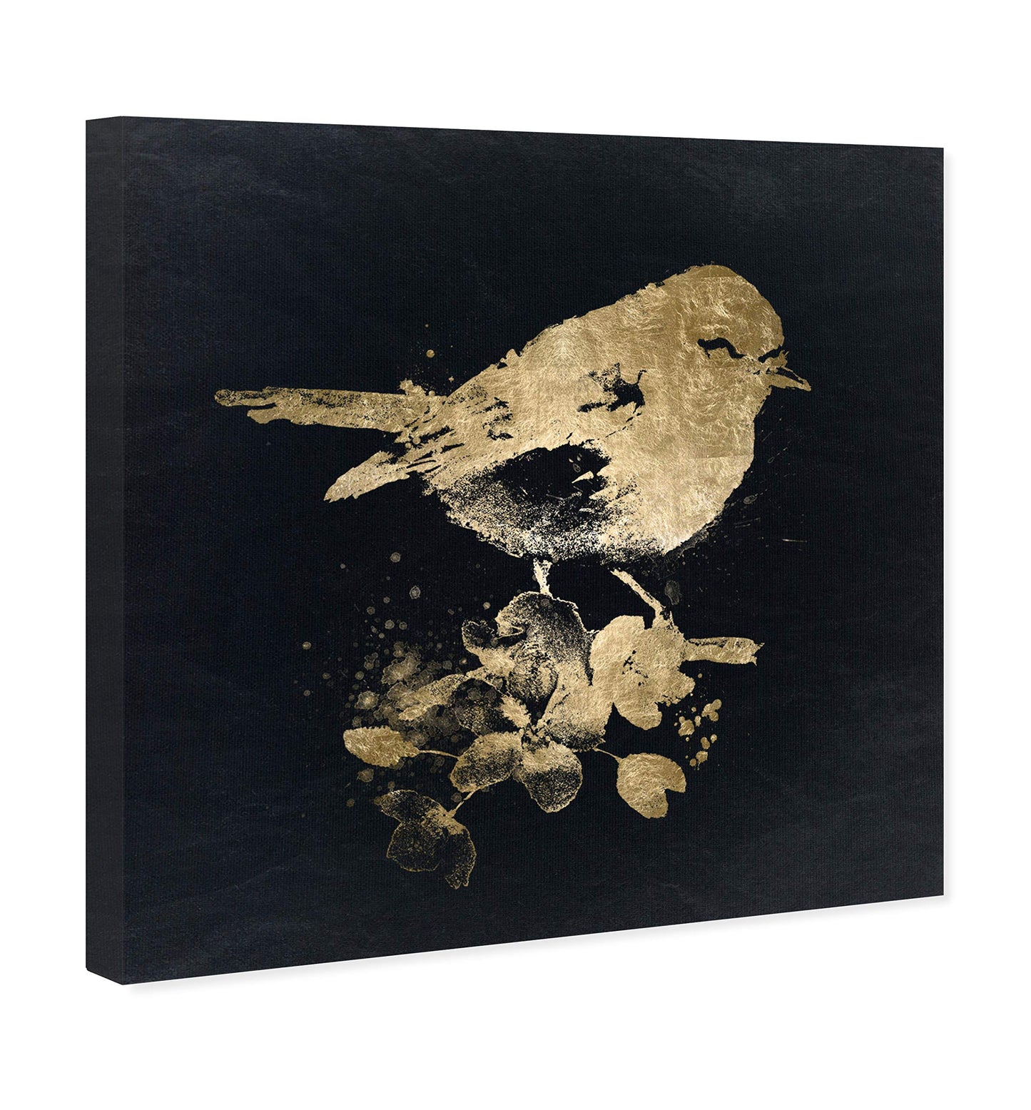 The Oliver Gal Artist Co. Animals Wall Art Canvas Prints Bird' Home Décor, 20" x 20", Black, Gold