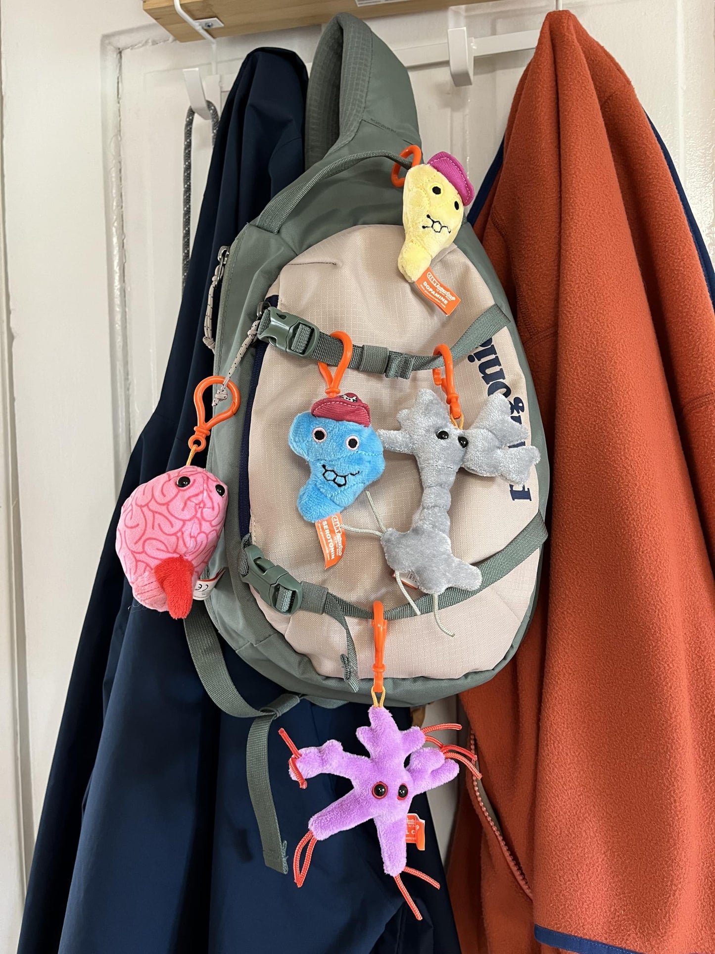 GIANTmicrobes Brain Science Themed Gift Box –Learn about Neuroscience with this 5-piece Box Set of Plush Key Chains, Educational Gift for Students, Doctors, Teachers, Neuroscientists and Psychologists