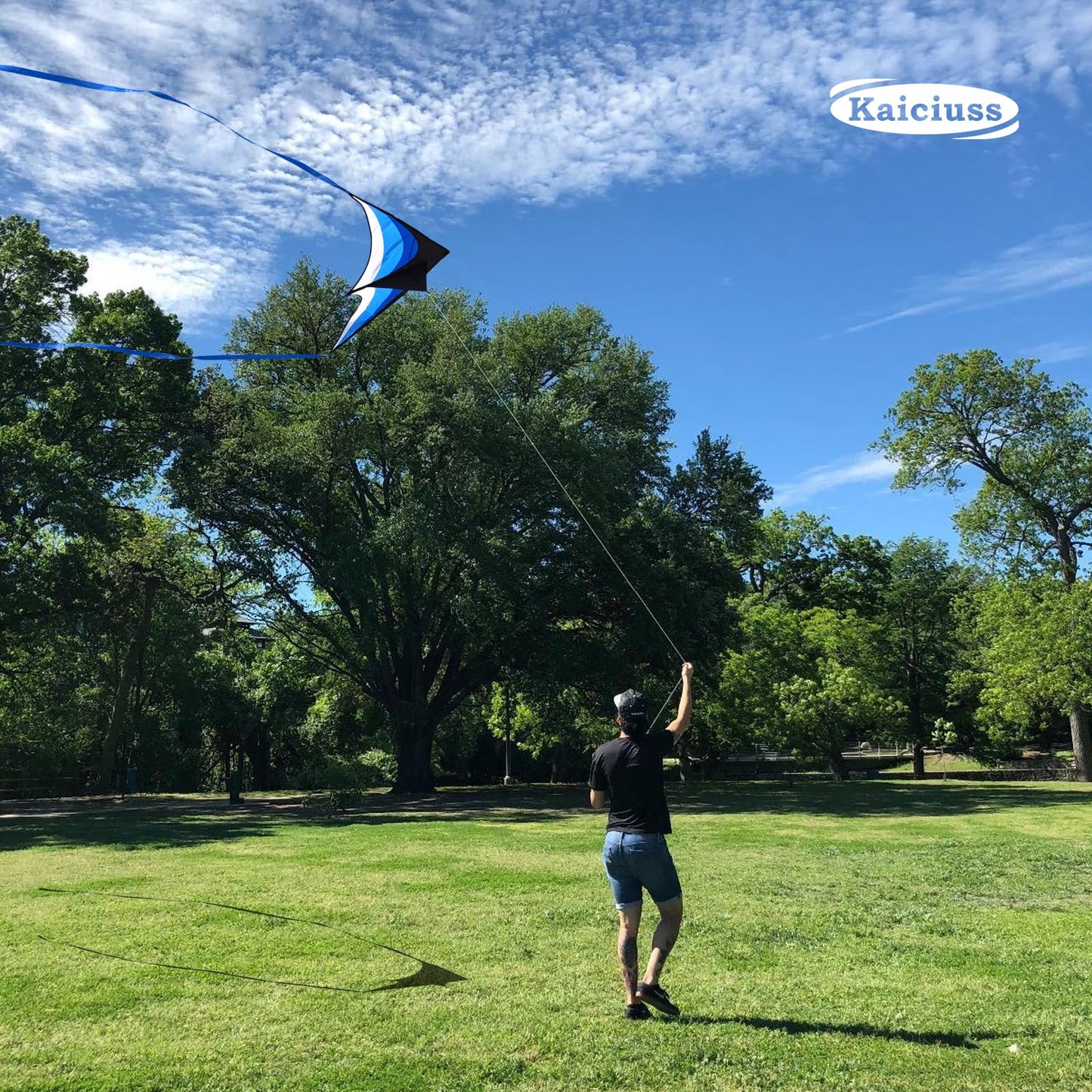 Kaiciuss Kite & Reel Winder Set, it Comes with Double Delta Kites and Double 7.1’’ Spools, Each Wheel Comes with Safety Lock and 650 FT Strong String