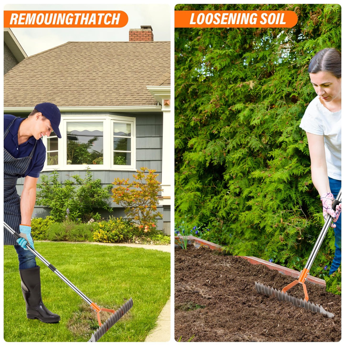 62" Thatch Rake, 19 Double-Sided Tines, 15-Inch Wide Lawn Rake, Adjustable Handle Garden Rake for Dethatching, Gardening, Yard Work, Heavy Duty Dethatcher Rake and Rock Rake