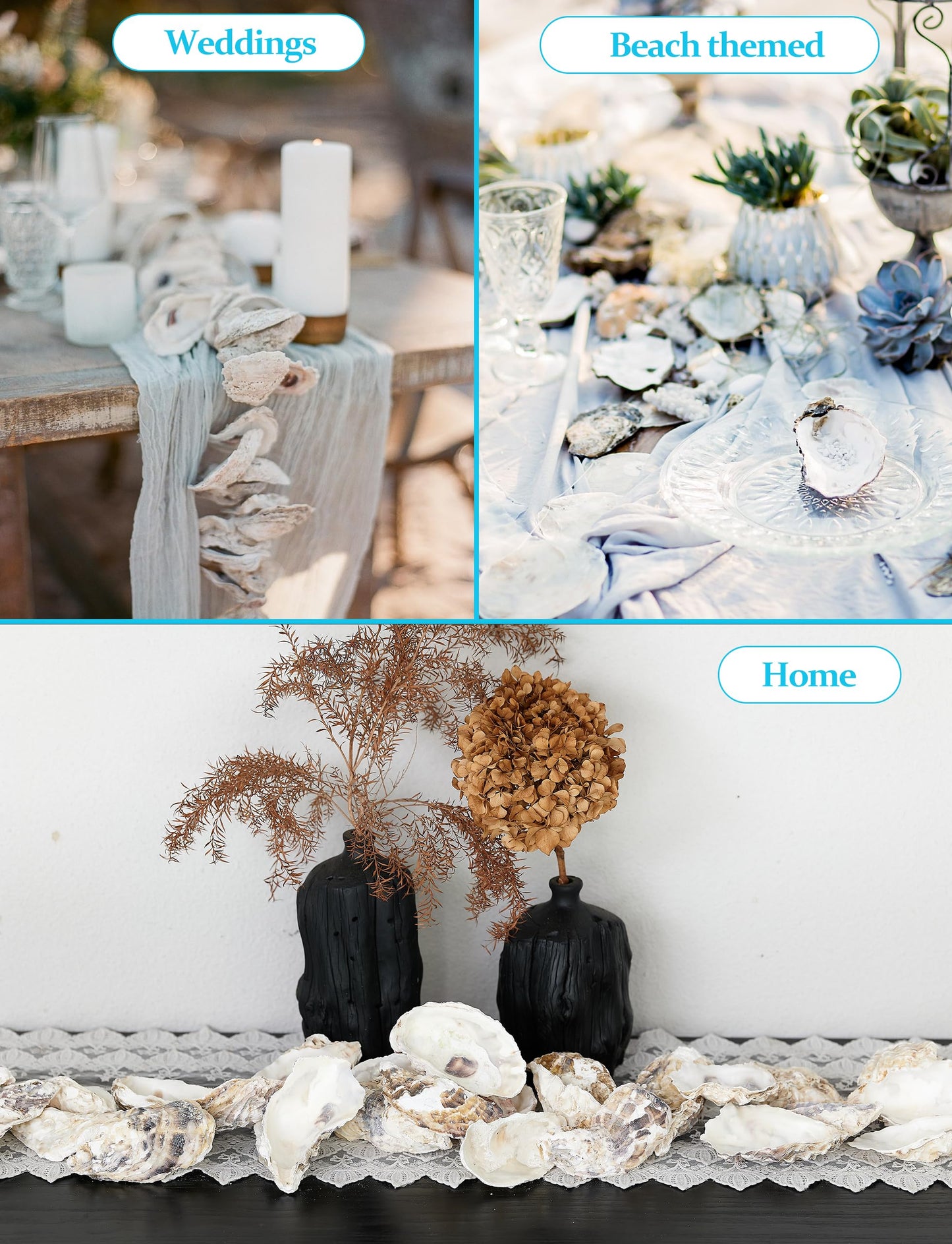 30Pcs Oyster Shells for Crafts， 4"-5" Large Oyster Shell for Crafts，Oyster Shells for Christmas 、Painting、 Beach Themes、 Wedding, Home Shells for Decoration and Sea Shells for Crafting