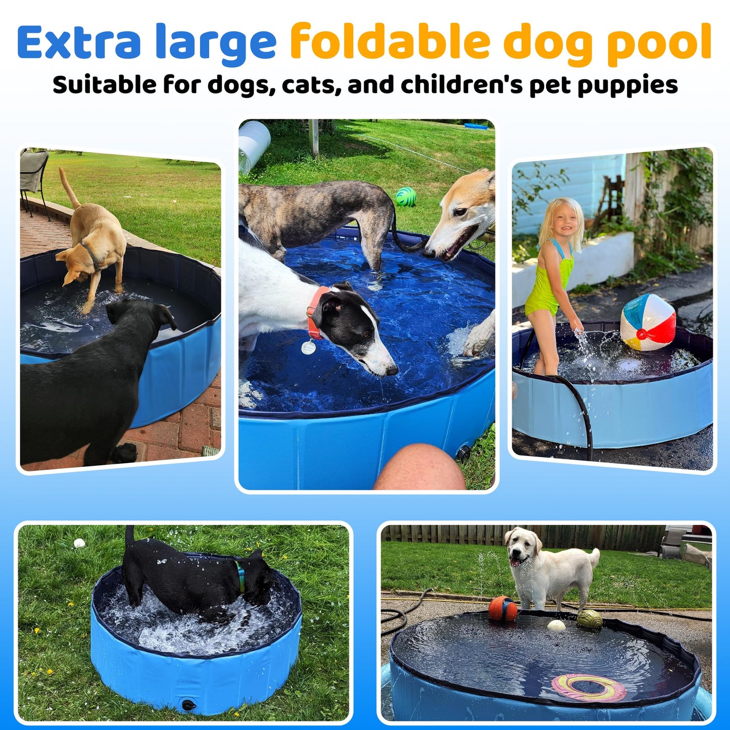 CACSPS 48" x 12" Foldable Dog Pool - Collapsible Hard Plastic Kiddie Pool for Dogs & Kids, Non-Slip Pet Bath Tub for Outdoor Backyard Use, Lightweight & Portable (Blue)