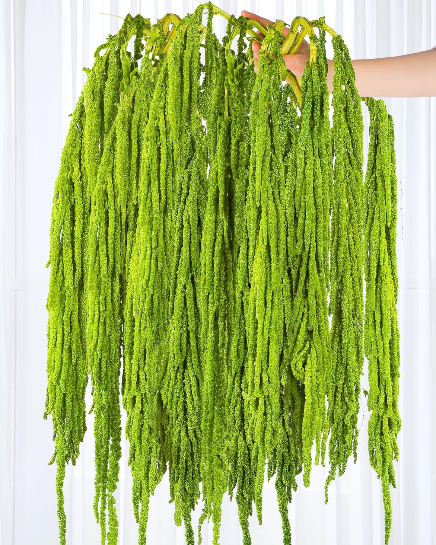 15Pcs Neon Green Preserved Hanging Amaranthus Flowers - 23" Cascading Dried Flower Tassels for Wedding Arch, Backdrop Installations, Vase Arrangements & Home Decor