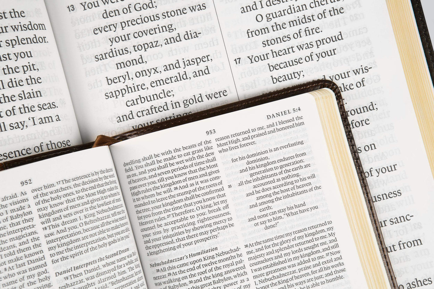 ESV Super Giant Print Bible (TruTone, Burgundy)