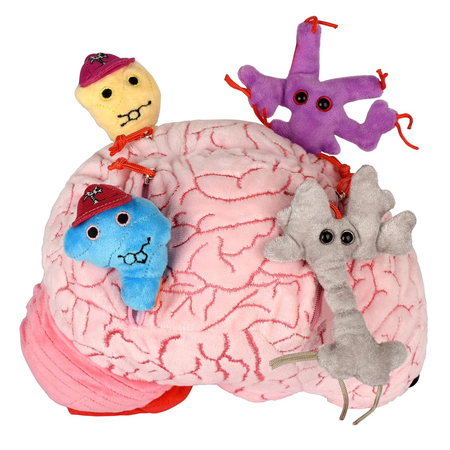 GIANTmicrobes Deluxe 9.5" Brain with Neuron Plush, Brain Toy, Brain Gifts for Neurologist, Brain Surgery Recovery Gifts, Neurology Gifts, Neuroscience Gifts, Brain Injury Gift, Biology Gift