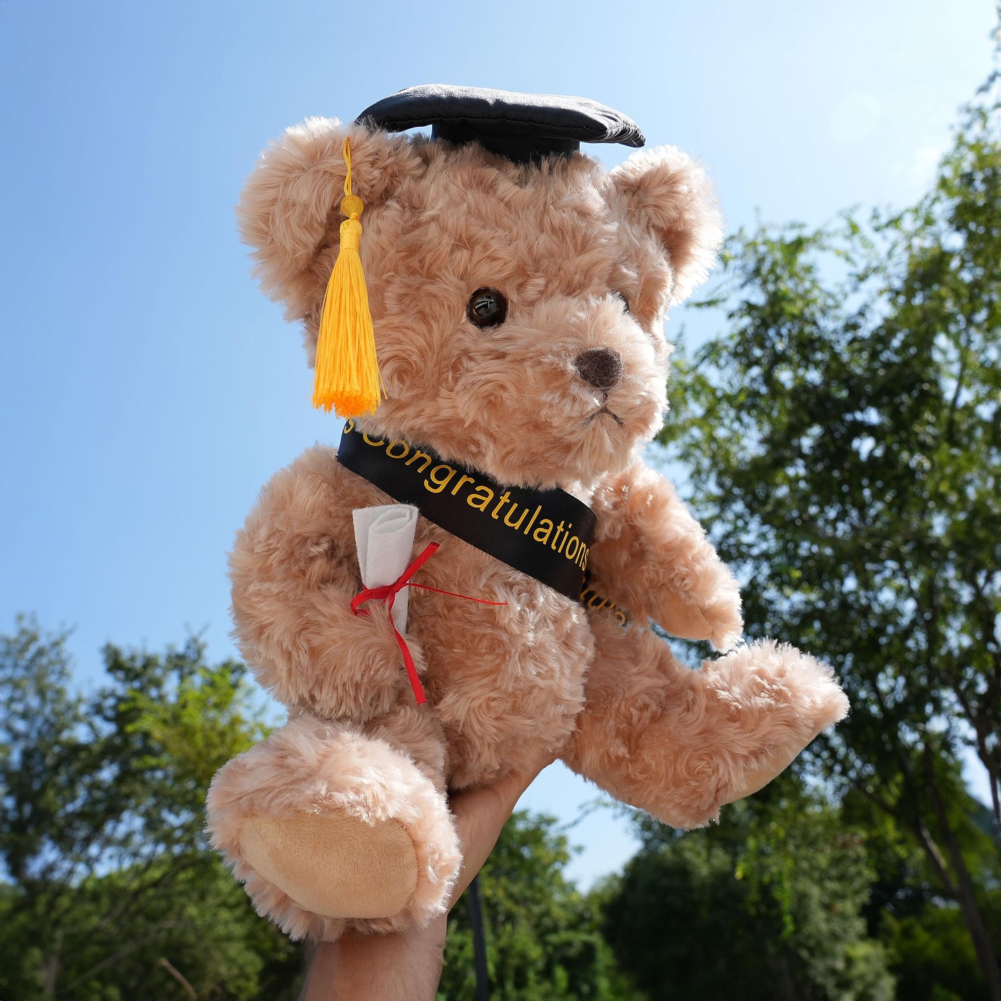 WEIGEDU Graduation Gift Teddy Bear Stuffed Animal Plush Toy with Cap, Sash & Diploma, Graduation Gift for Kids, Students, Boys & Girls, 30cm