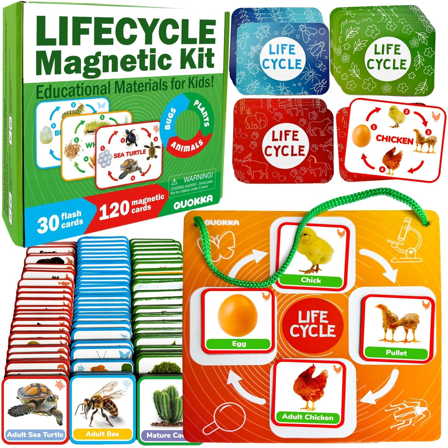 Quokka Life Cycle Kit Toy Montessori - 30 Flash Cards Toddler Science Activities for Kids Ages 3-4 - Prek Animal Learning Materials 3-5 - 120 Magnetic Homeschooling Supplies for Preschool