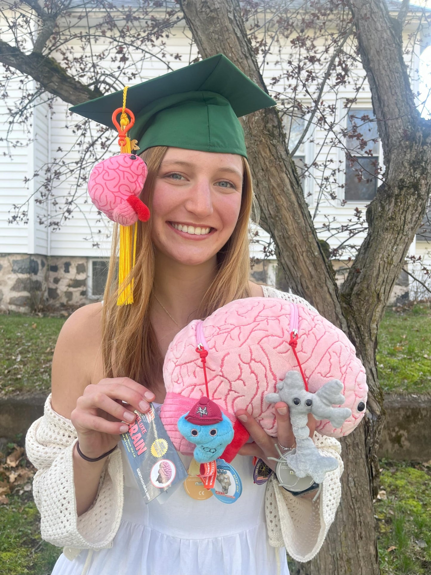 GIANTmicrobes Deluxe 9.5" Brain with Neuron Plush, Brain Toy, Brain Gifts for Neurologist, Brain Surgery Recovery Gifts, Neurology Gifts, Neuroscience Gifts, Brain Injury Gift, Biology Gift