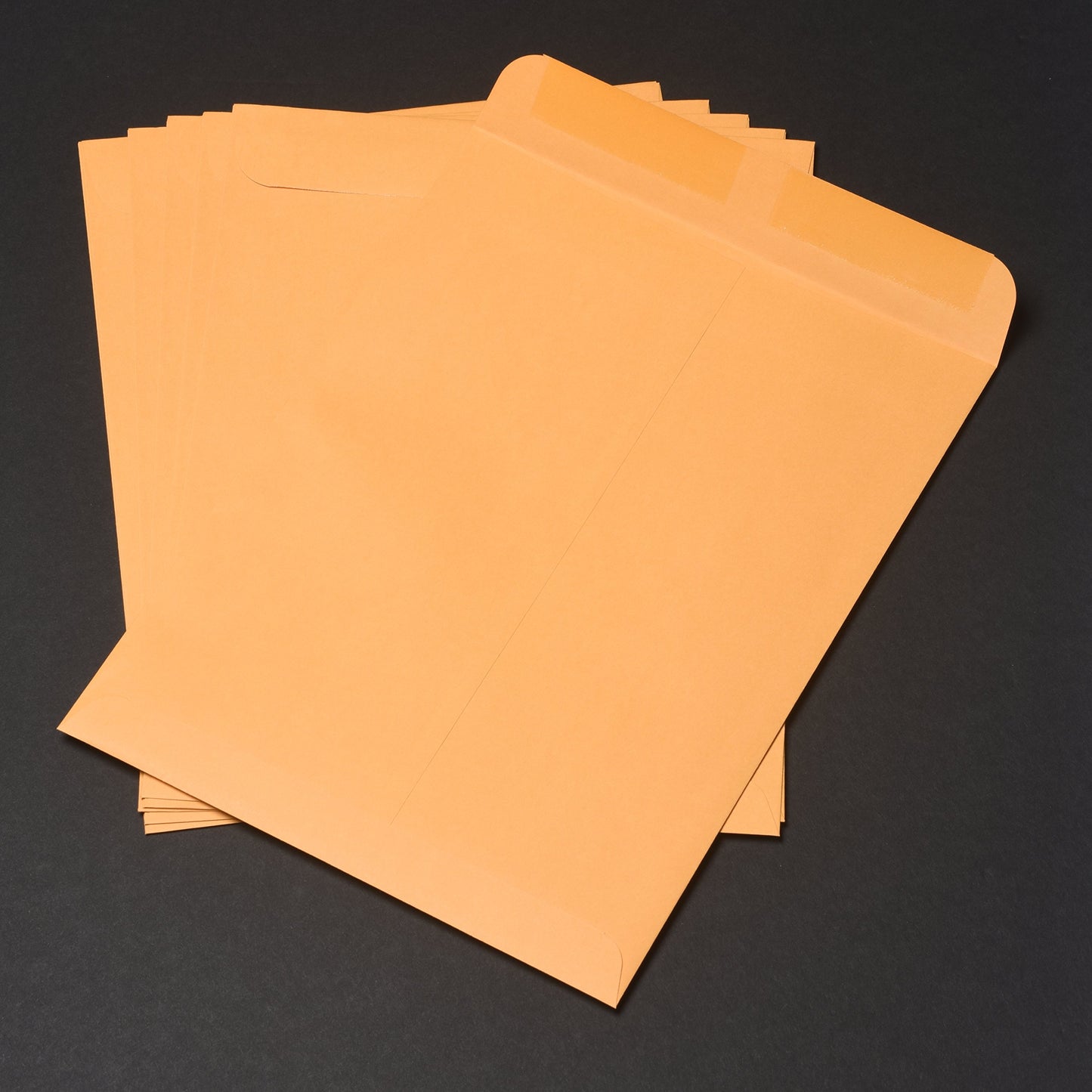 Quality Park 41465 Quality Park Catalog Envelopes, Heavyweight/Gummed, 9x12, 28lb, Kraft, 250/Box (QUA41465), Light Brown