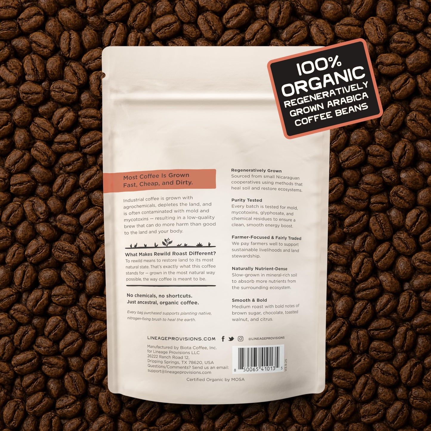 Lineage Provisions Rewild Roast Coffee - Organic Whole Coffee Beans - Arabica Medium Roast - Brown Sugar, Dark Chocolate, Toasted Walnut, Citrus - 1-Pack, 12 oz