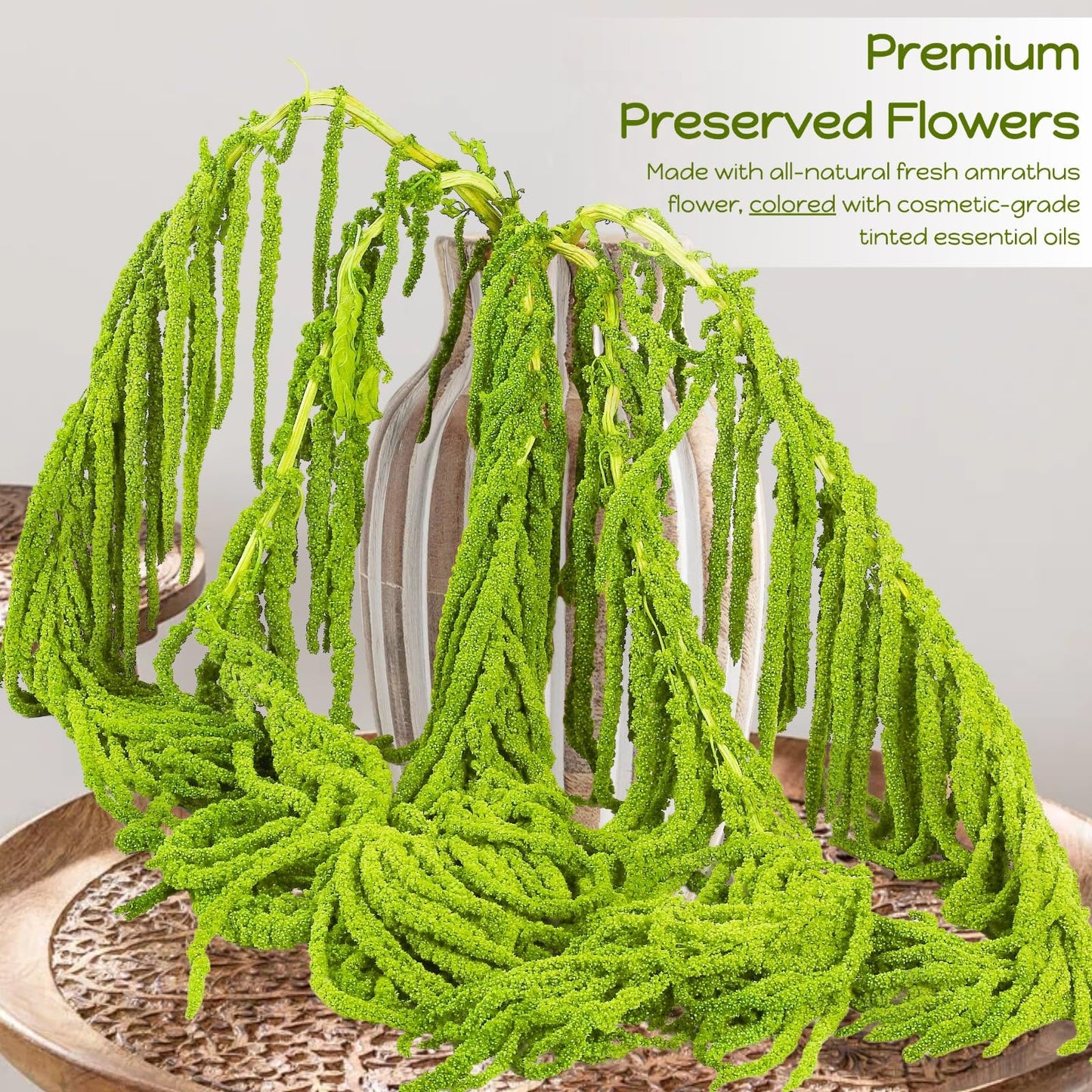 15Pcs Neon Green Preserved Hanging Amaranthus Flowers - 23" Cascading Dried Flower Tassels for Wedding Arch, Backdrop Installations, Vase Arrangements & Home Decor