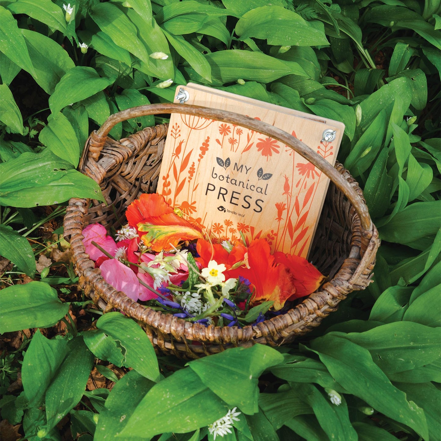 Tender Leaf Toys - My Botanical Press - 8.3 x 8.3 Inch 10 Layers Flower Press, DIY Dried and preserved flowers and leaves, Plants Art & Crafts kit - Age 3+