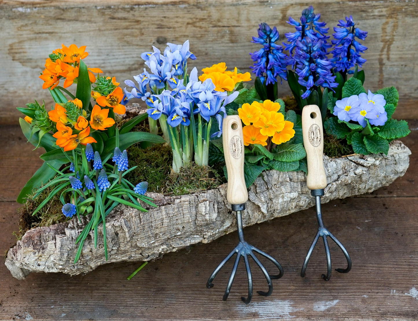DeWit 5-Tine Cultivator with Short Handle, Lightweight & Durable Garden Tool with Comfortable Grip