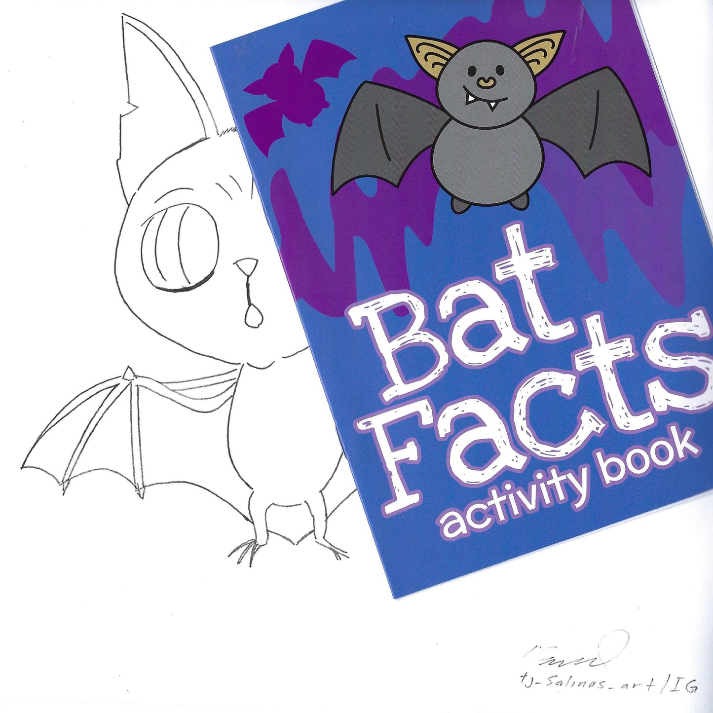 Stellaluna Special Edition Hardcover by Janell Cannon , Stellaluna Plush Doll , Activity Booklet, Downloadable Crafts with Activity Kit and Create a Bat Artwork Gift Set
