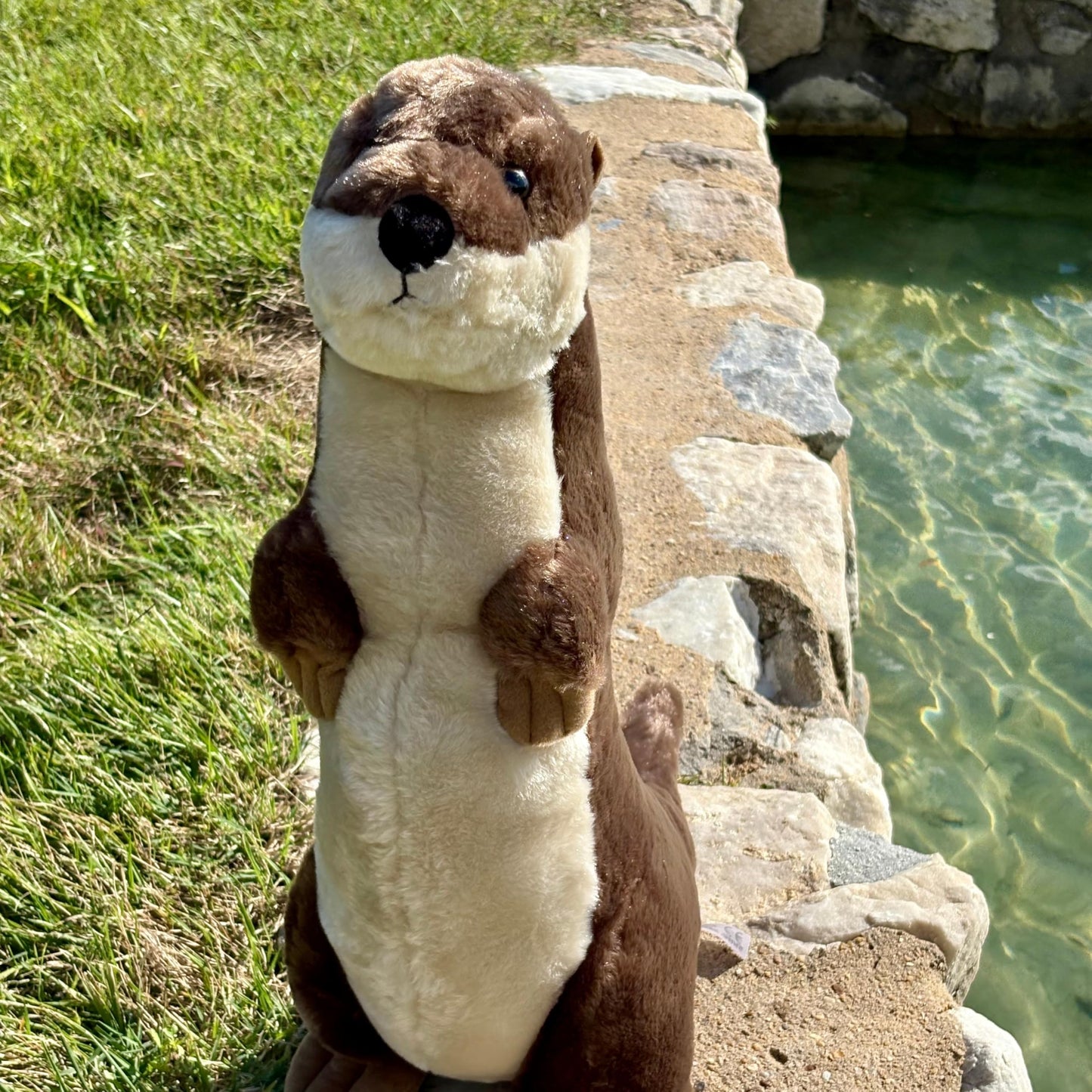 Standing River Otter 20" by The Petting Zoo