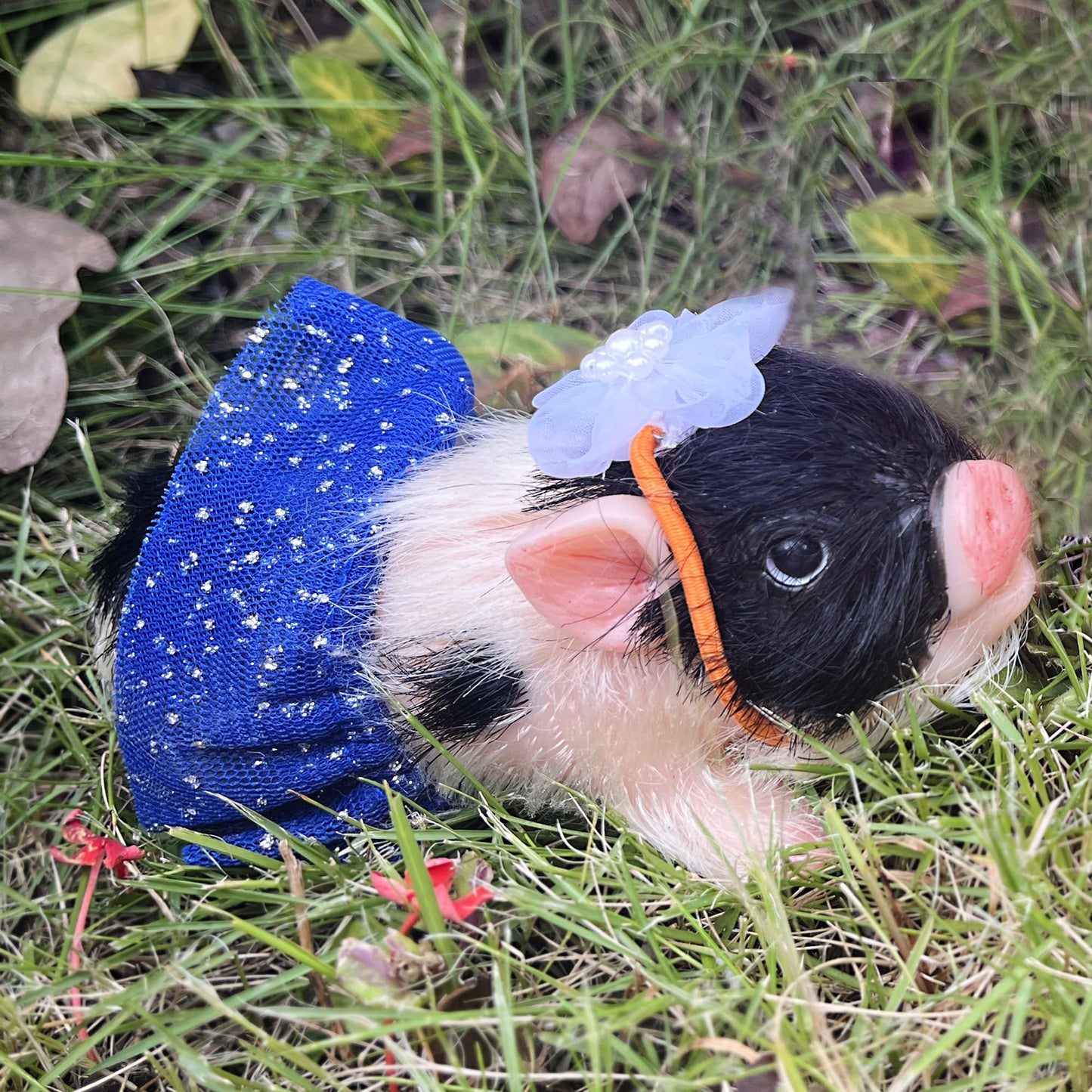 OtardDolls Reborn Piggy Dolls, 5 Inch Full Silicone Soft Lifelike Mini Pig Dolls Mini Realistic Newborn Cute Realistic Animals Pig Toy Gifts for Happy Birthday, Christmas